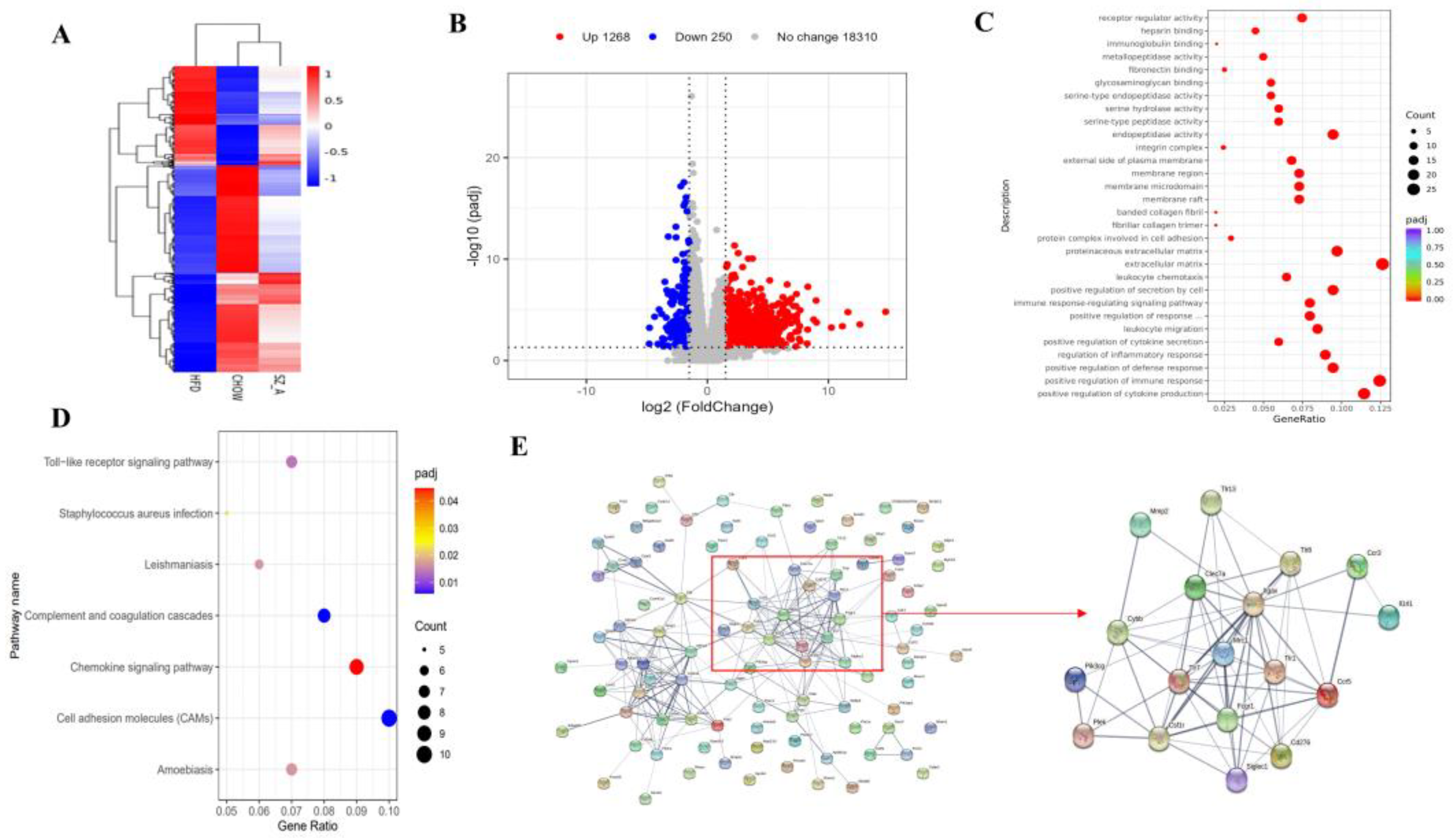 Nutrients 14 05050 g003