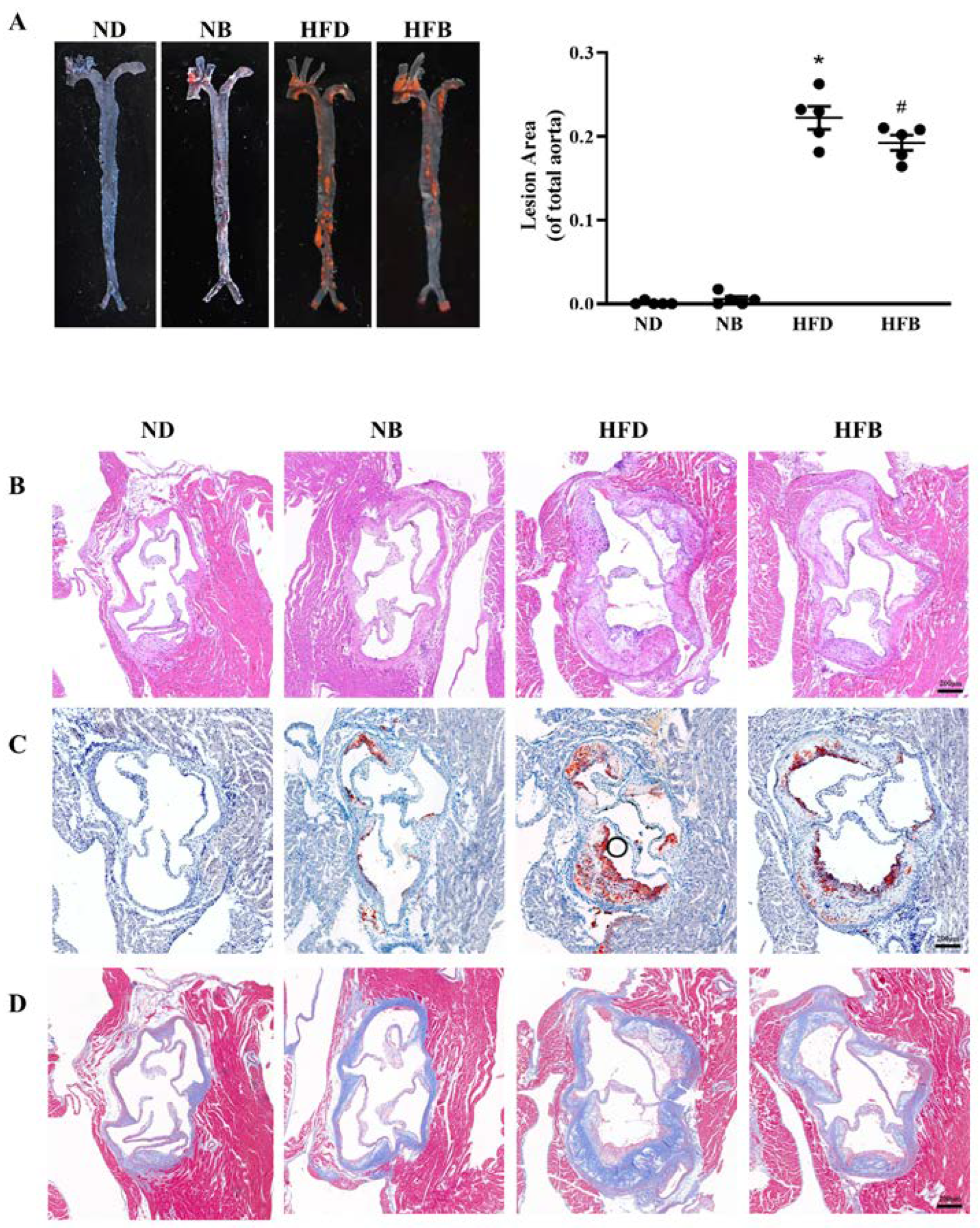 Nutrients 14 05065 g001