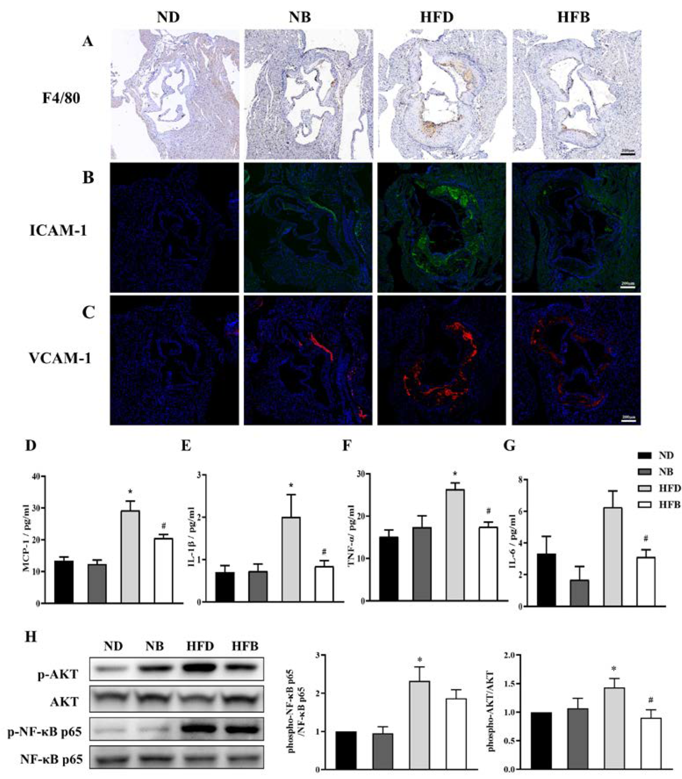 Nutrients 14 05065 g004