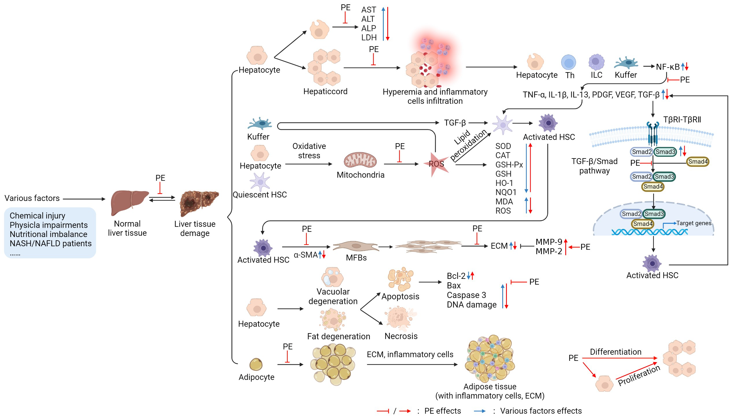 Nutrients 14 05071 g002