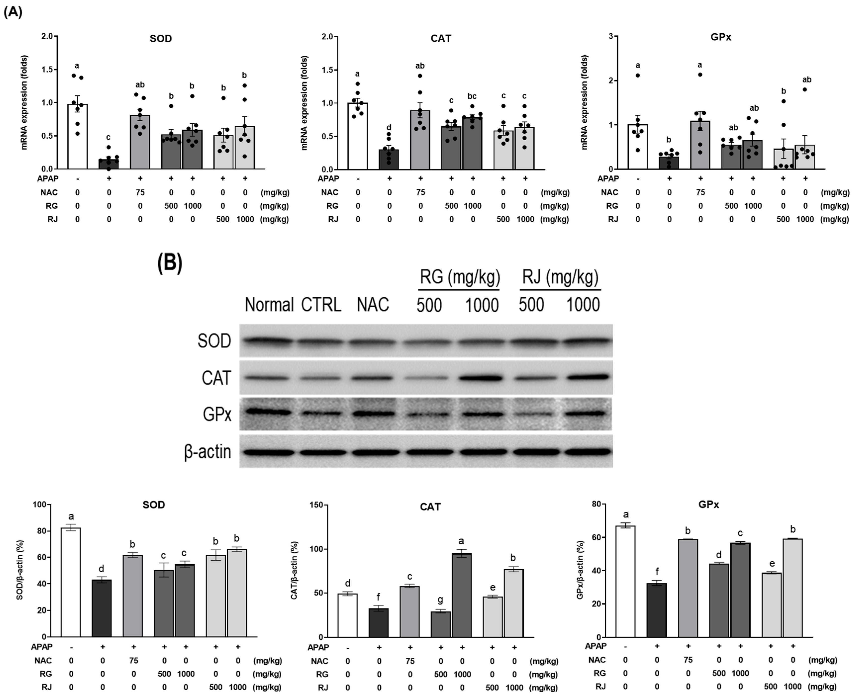 Nutrients 14 05082 g006 Nutrients 14 05082 g006