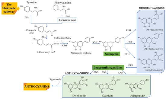 Nutrients 14 05133 g002