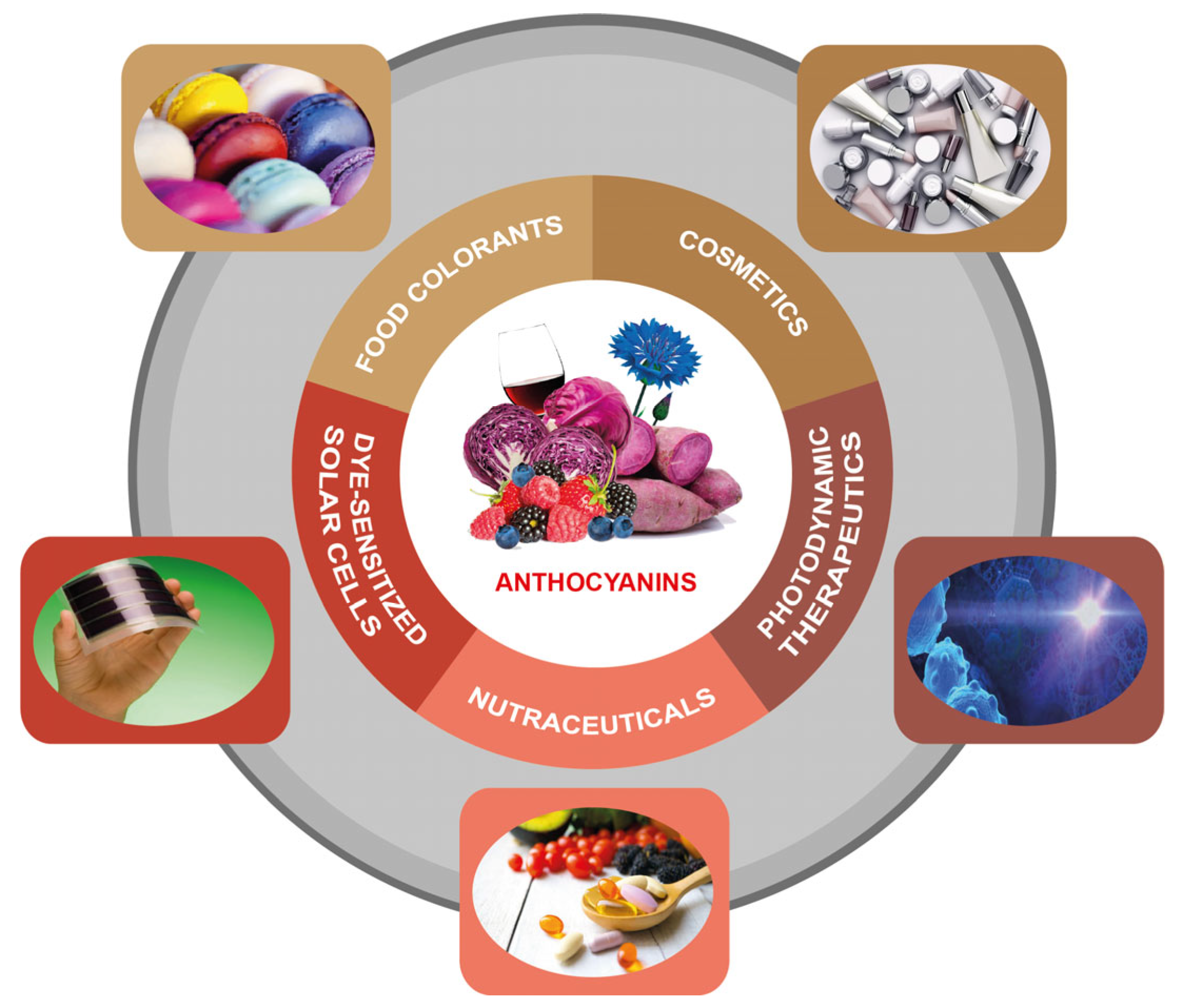 Nutrients 14 05133 g004