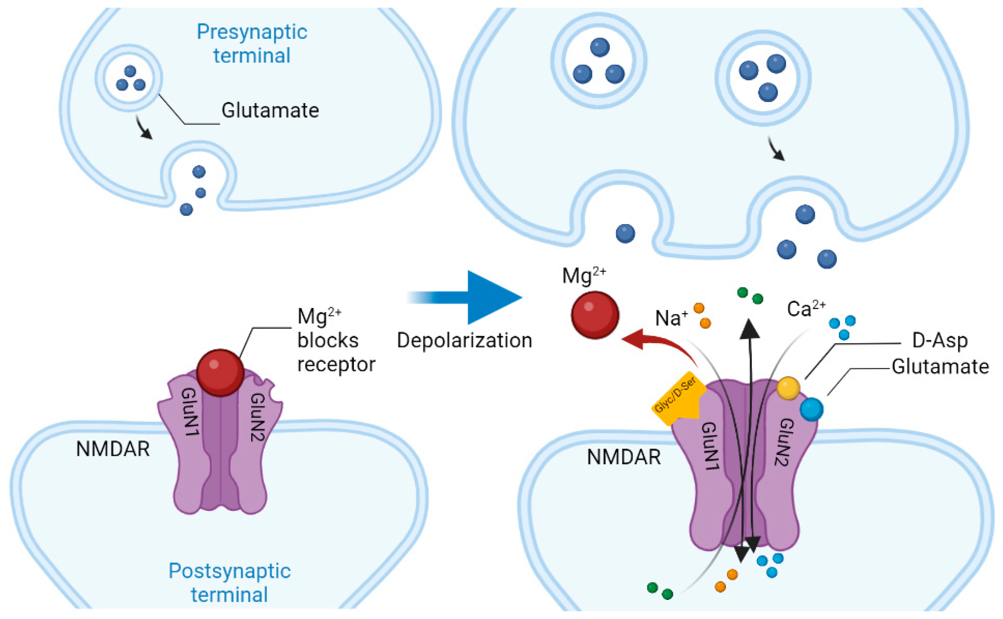 Nutrients 14 05142 g003
