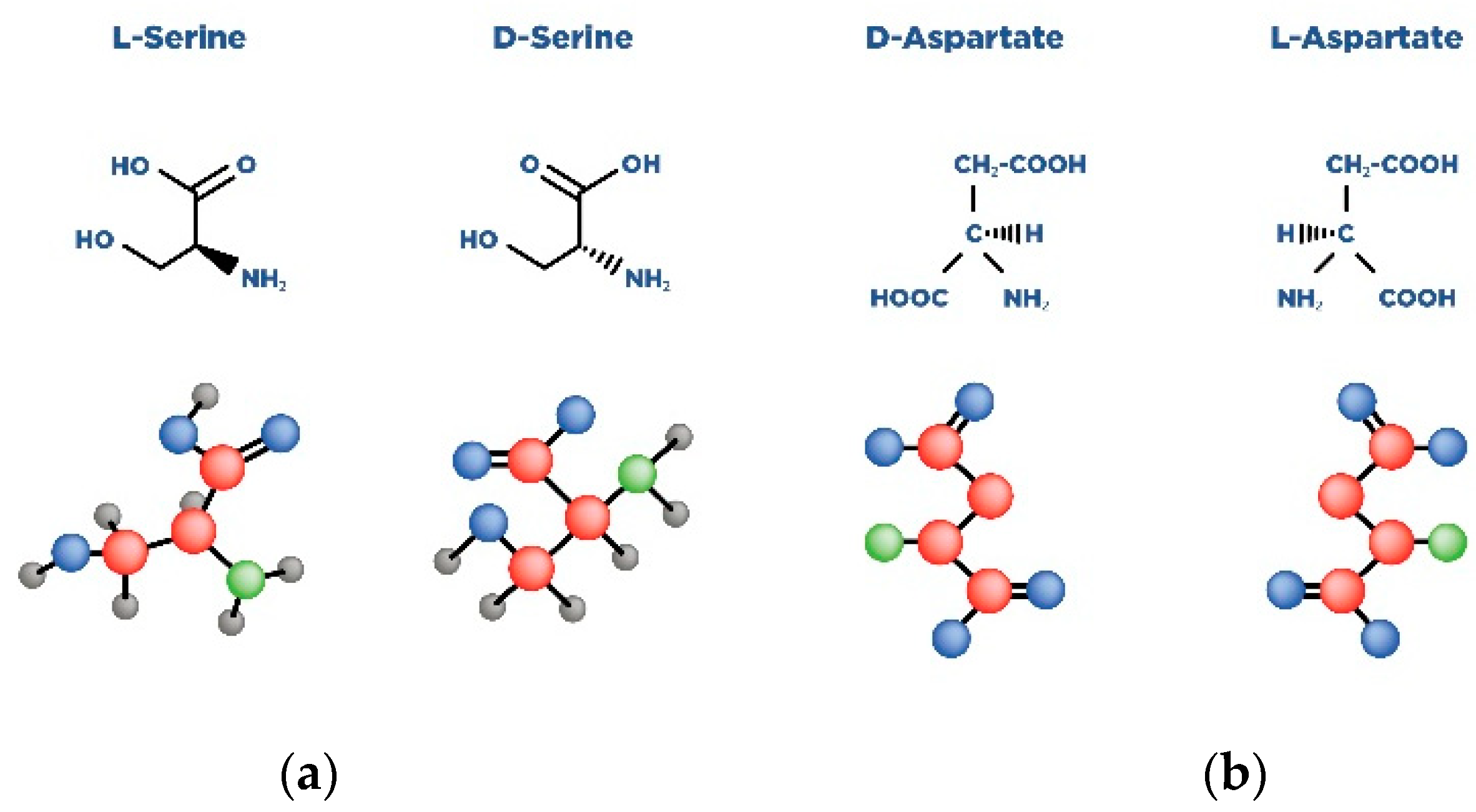 Nutrients 14 05142 g004