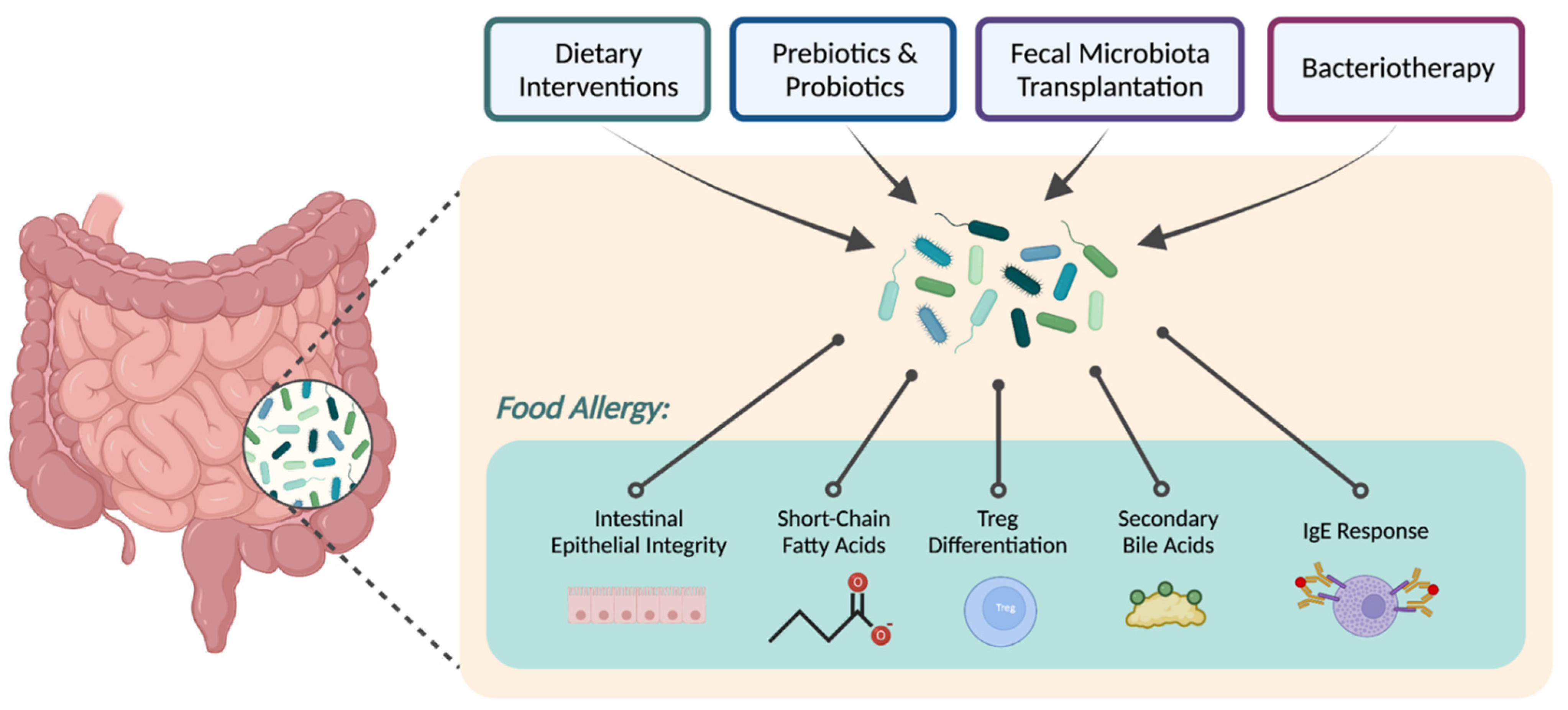 Nutrients 14 05155 g001