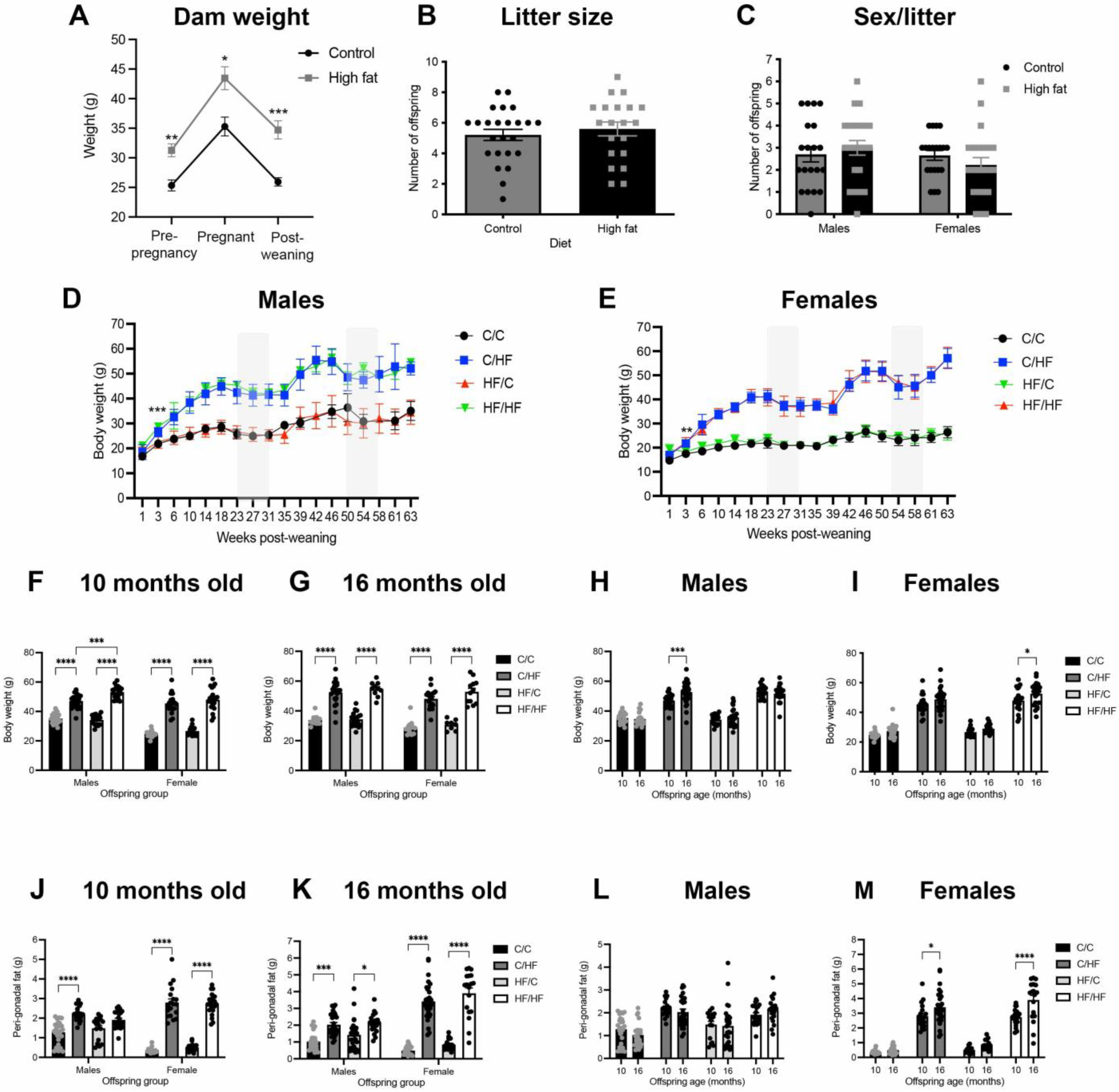 Nutrients 14 05161 g002