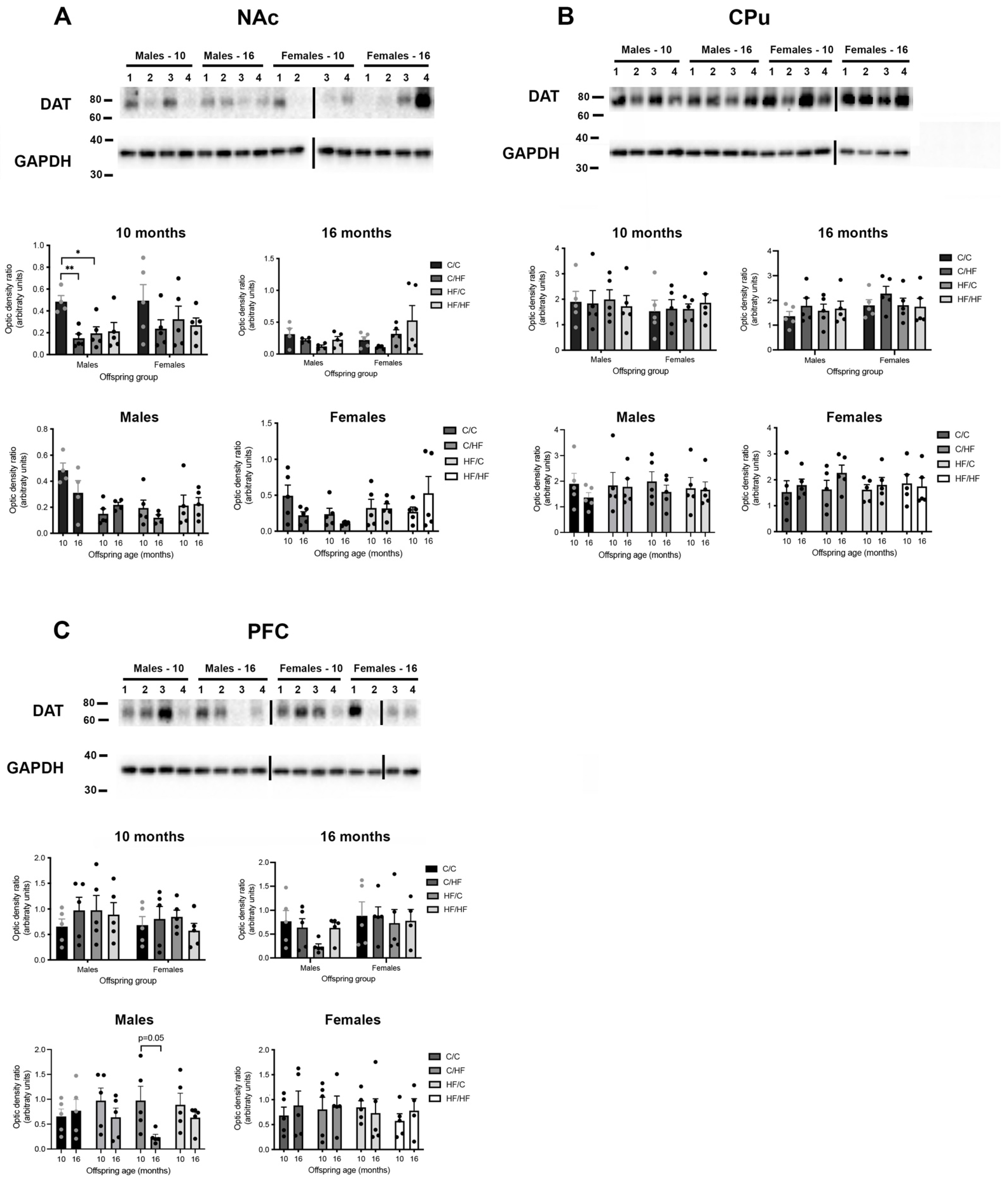 Nutrients 14 05161 g006