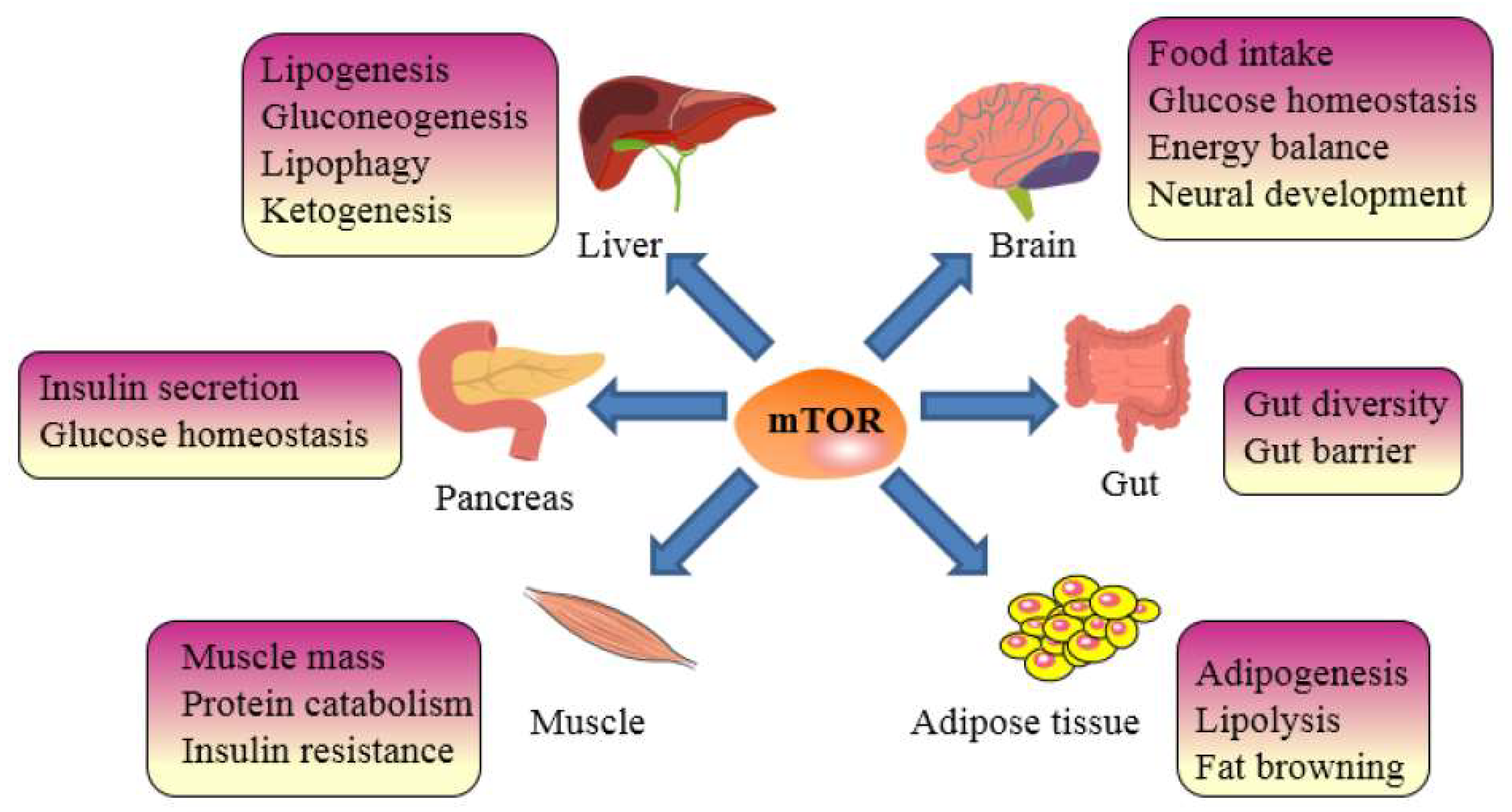 Nutrients 14 05171 g001
