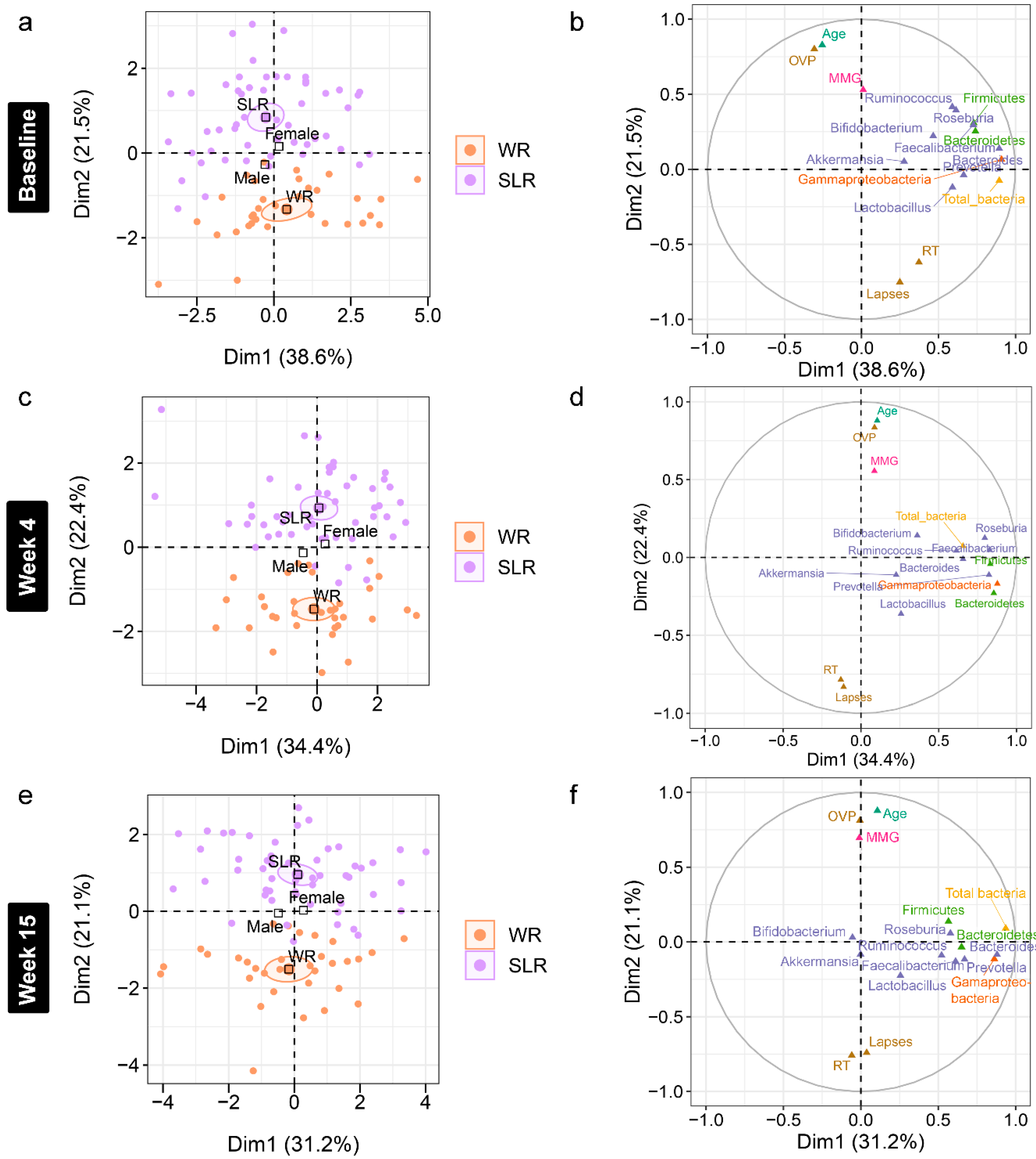 Nutrients 14 05176 g006
