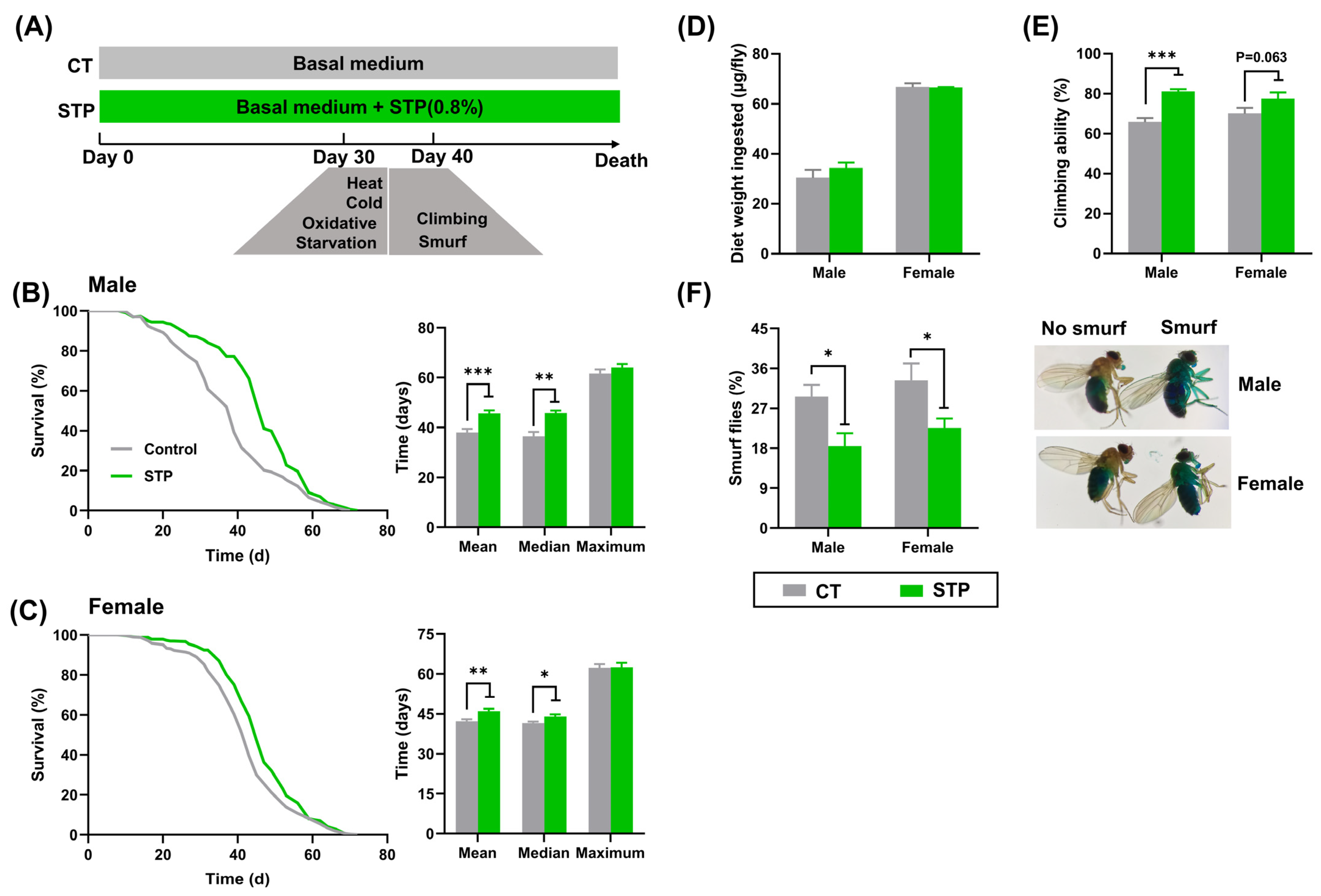 Nutrients 14 05205 g001
