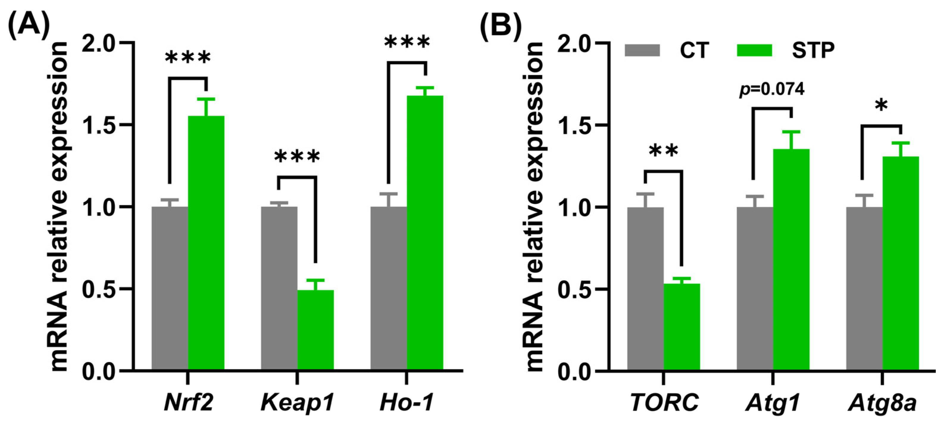 Nutrients 14 05205 g004