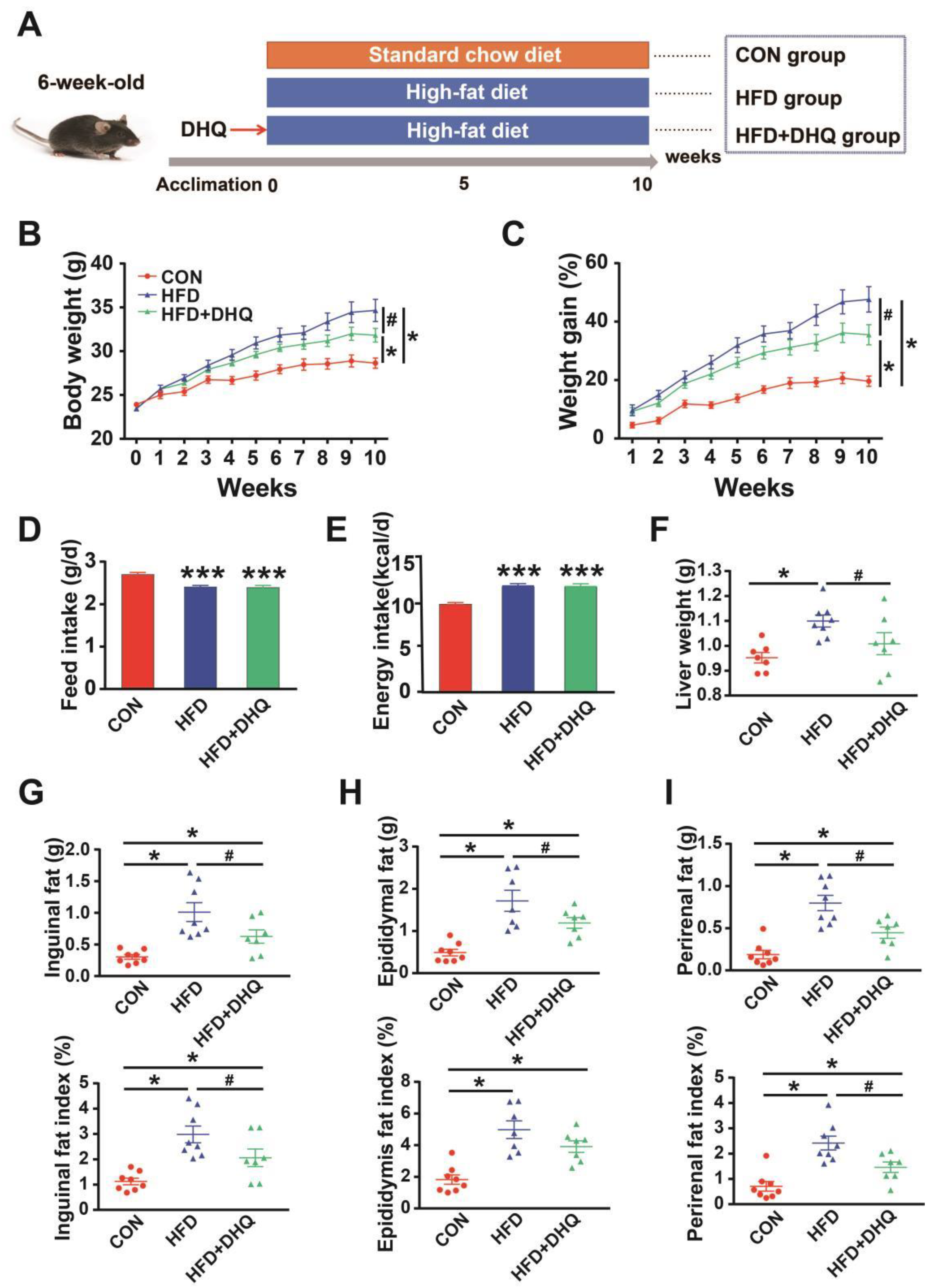 Nutrients 14 05214 g001