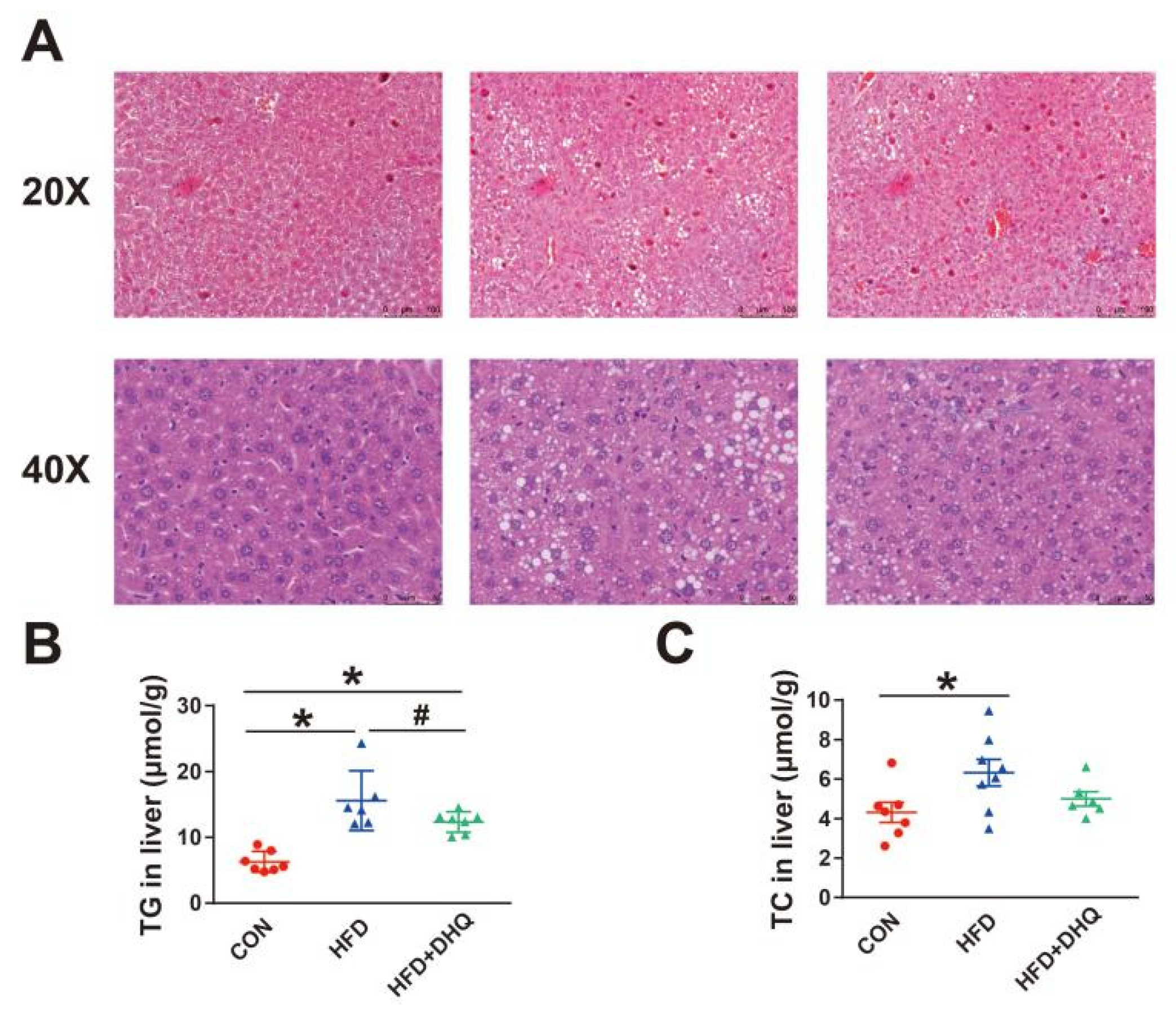 Nutrients 14 05214 g003