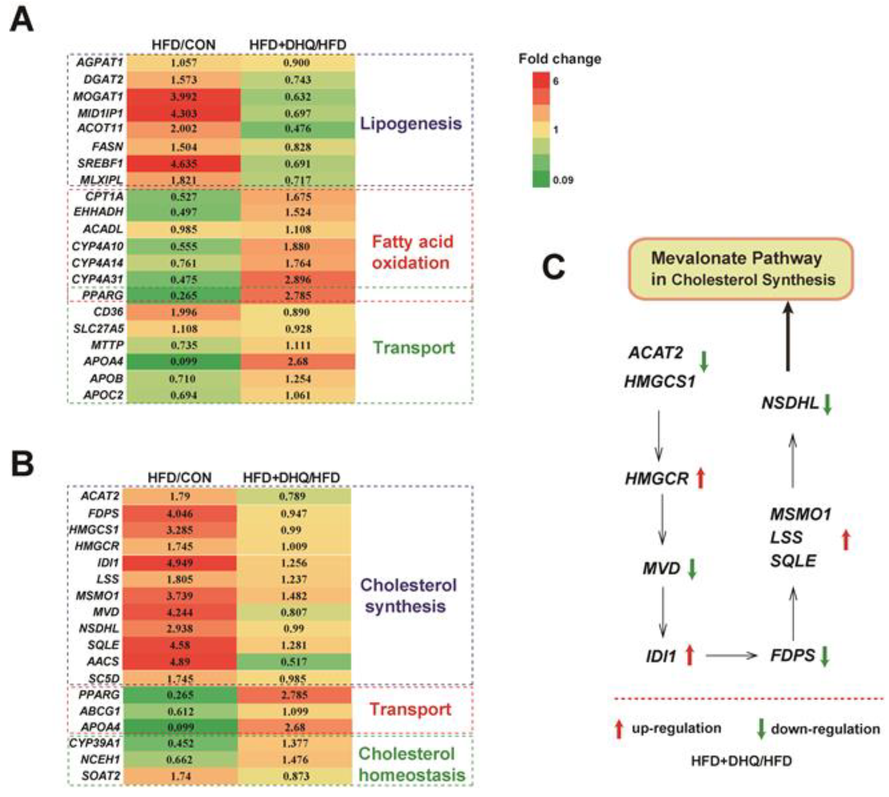 Nutrients 14 05214 g006