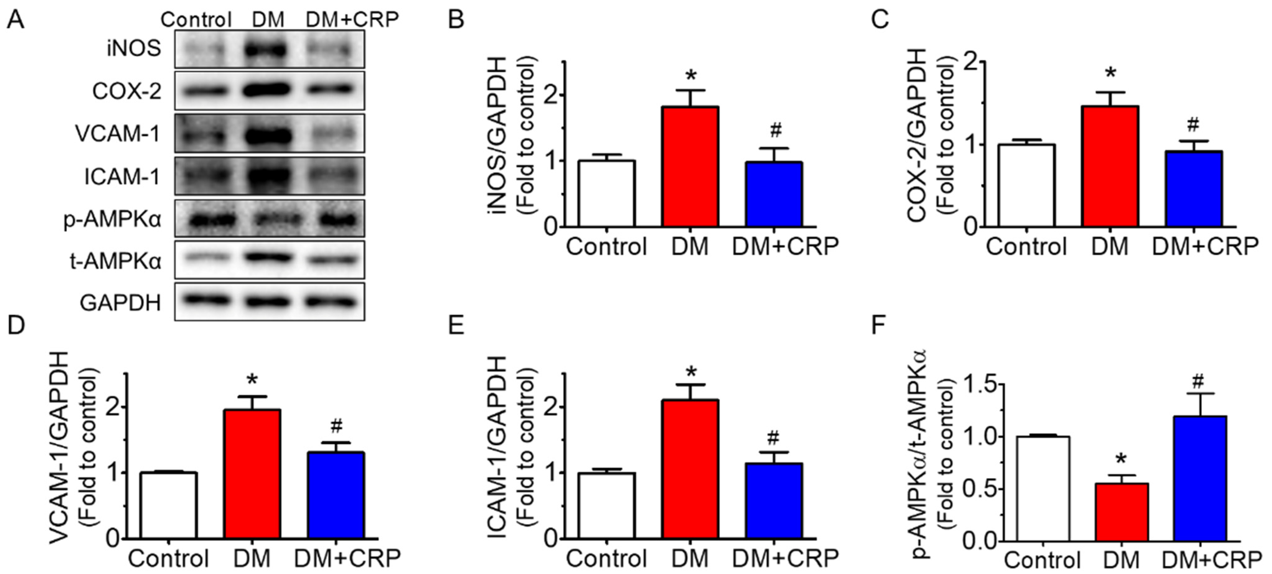 Nutrients 14 05221 g004