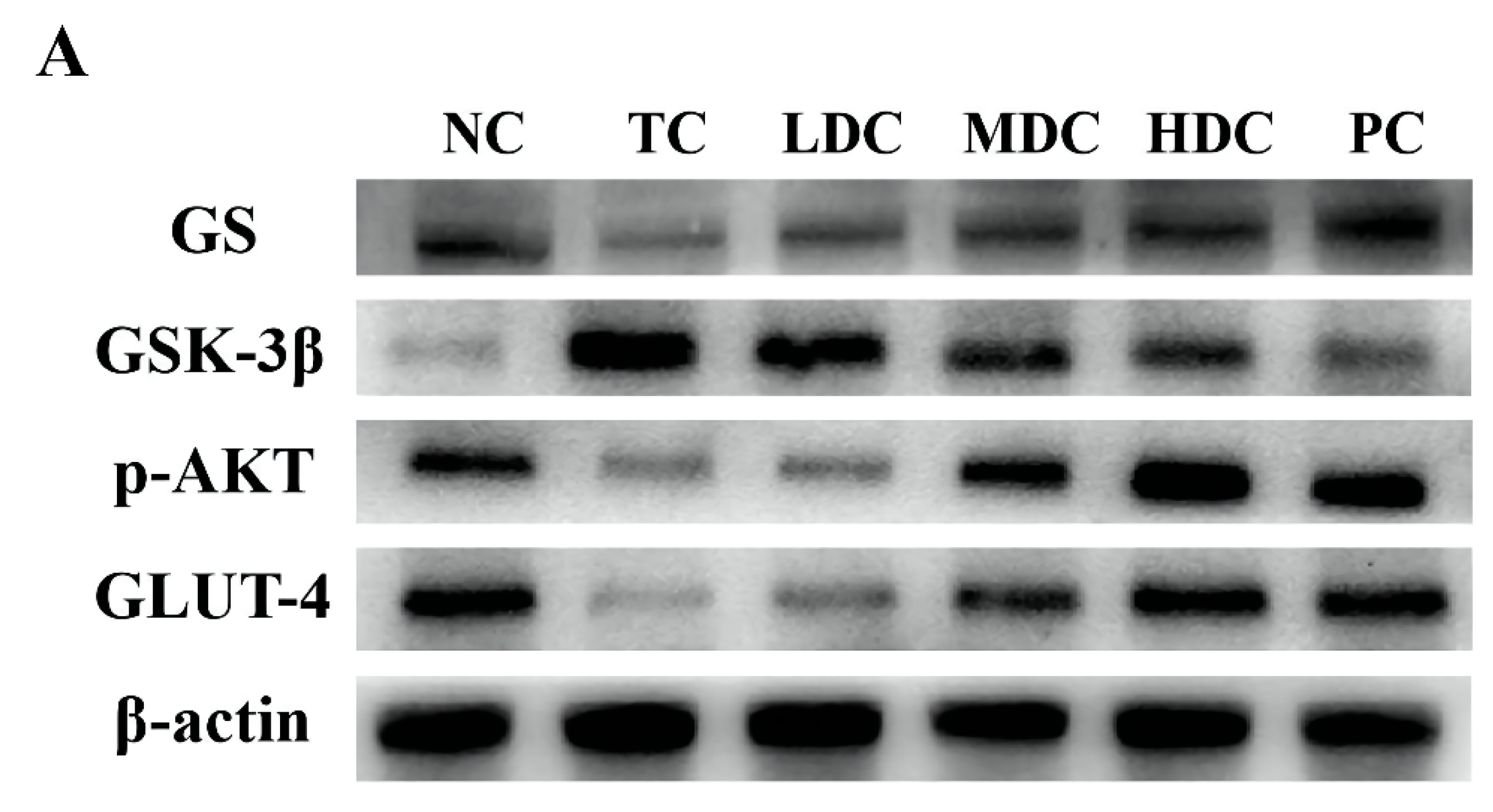 Nutrients 14 05222 g005a