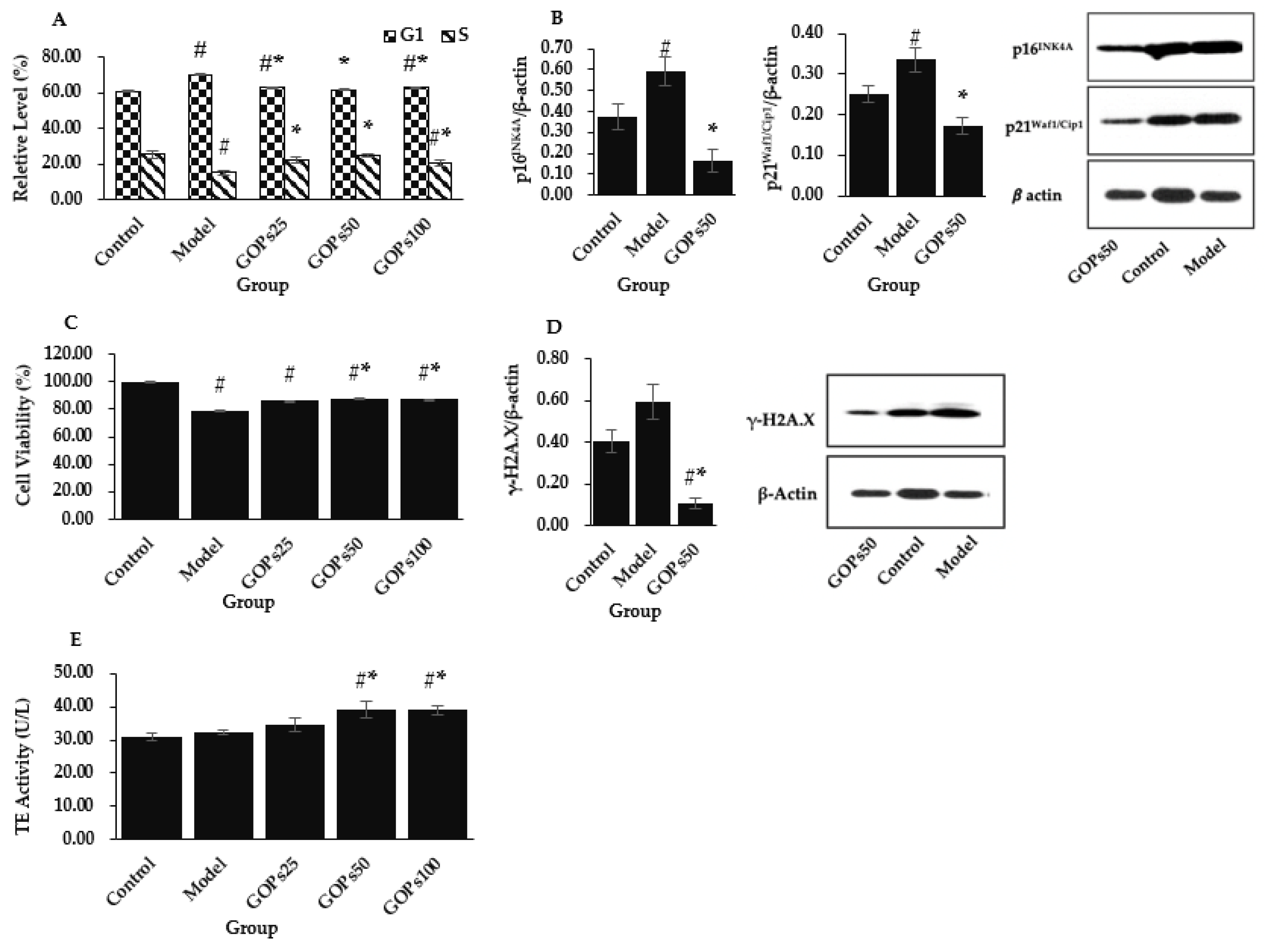 Nutrients 14 05289 g001