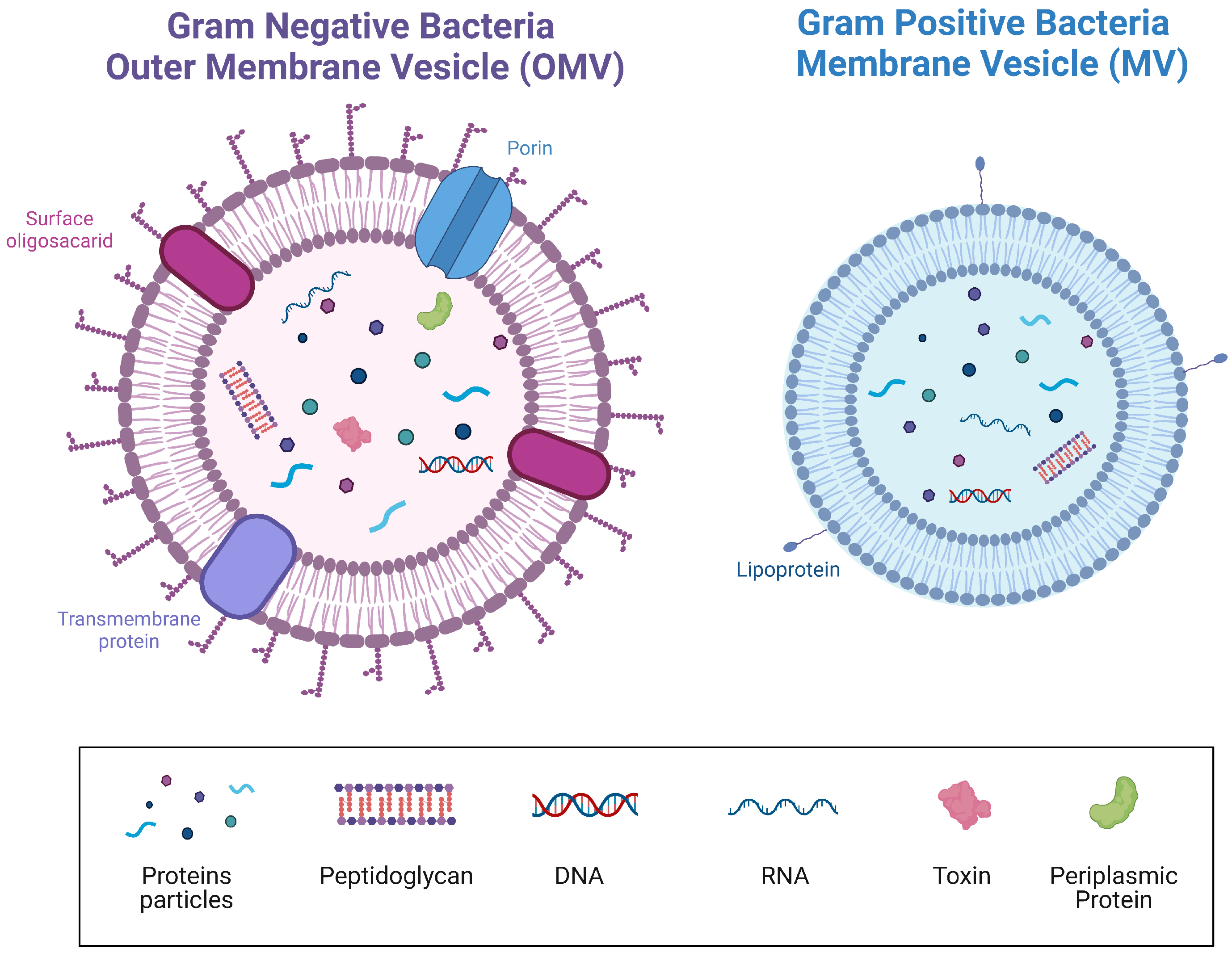 Nutrients 14 05296 g002
