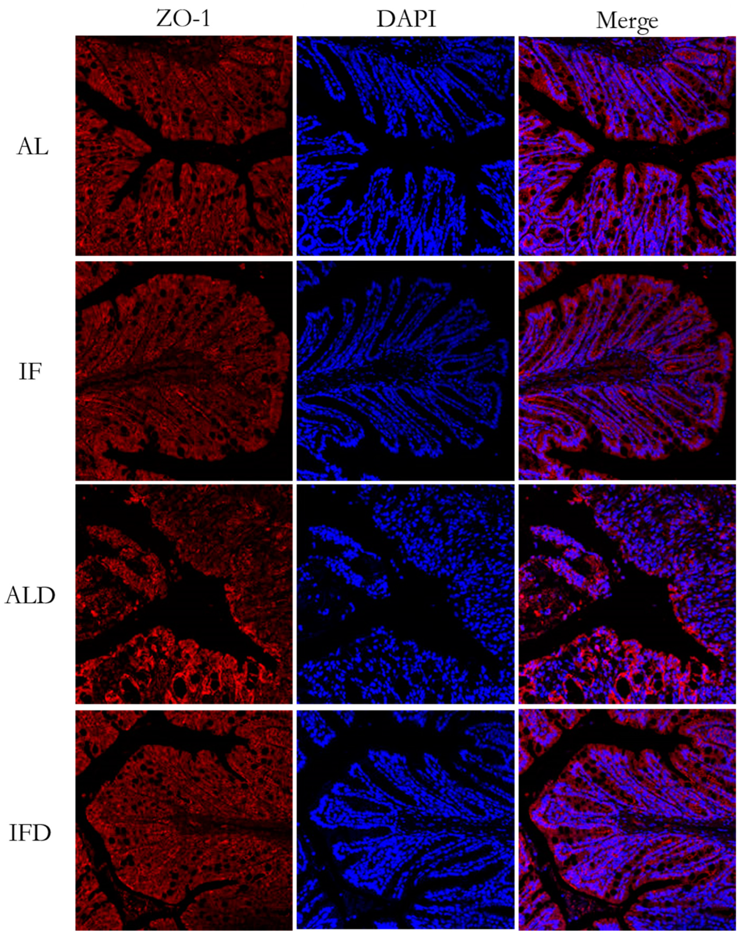 Nutrients 14 05311 g007