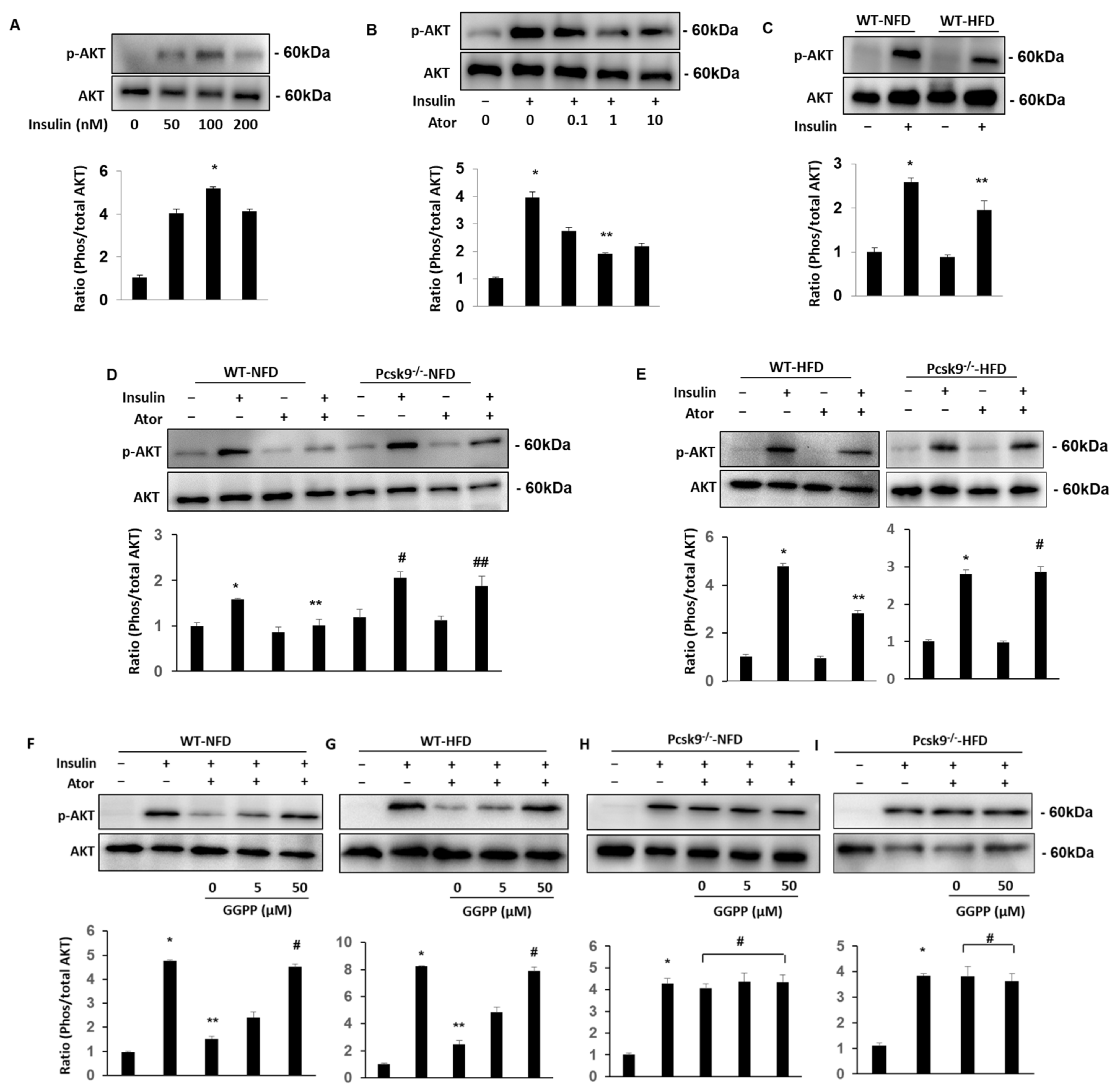 Nutrients 14 05314 g002 Nutrients 14 05314 g002