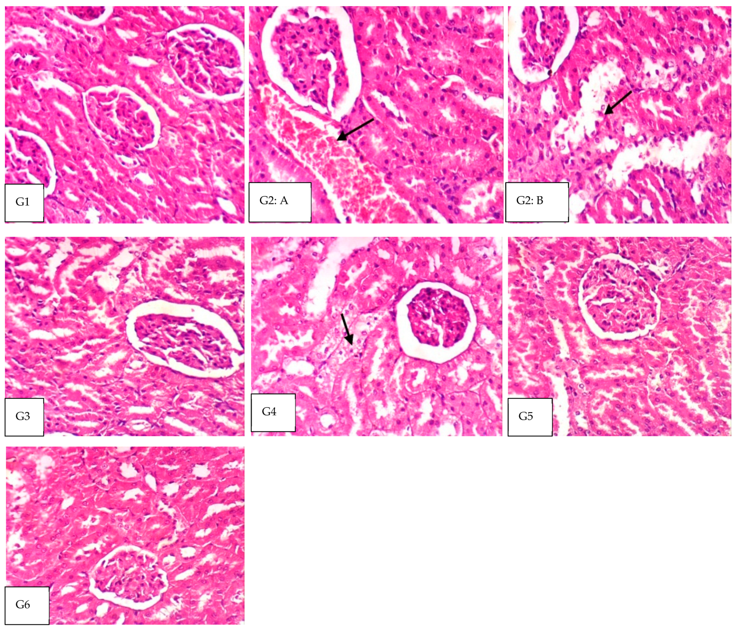 Nutrients 14 05315 g001