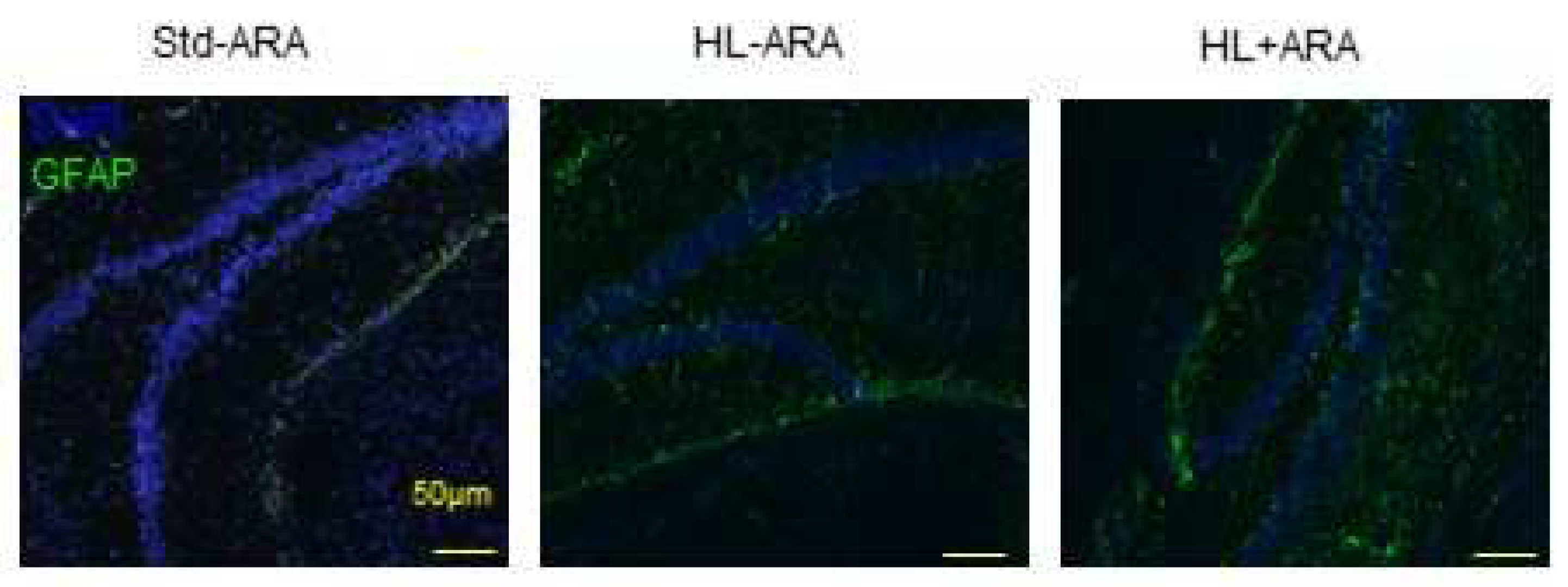 Nutrients 14 05338 g007 Nutrients 14 05338 g007