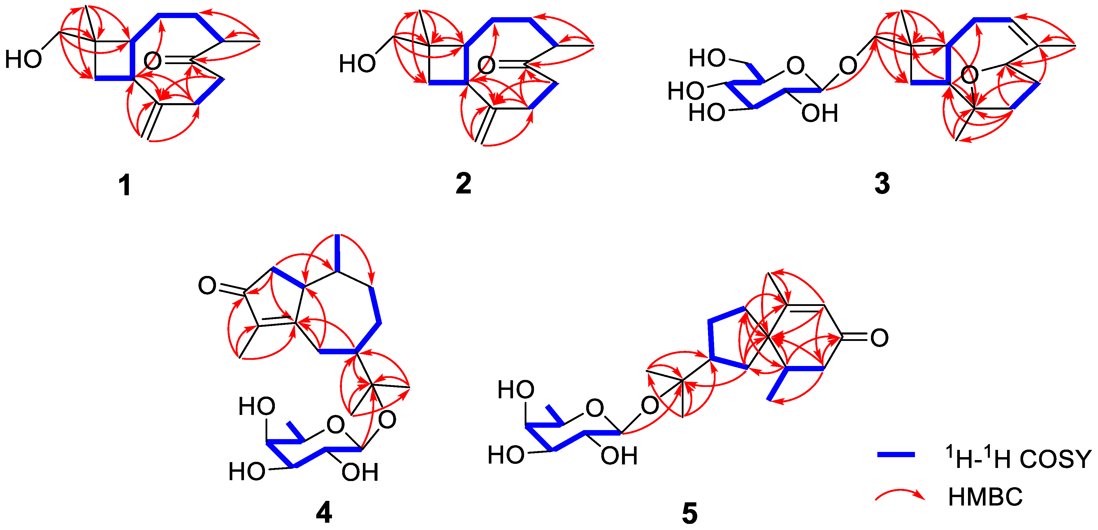 Nutrients 14 05348 g002 Nutrients 14 05348 g002