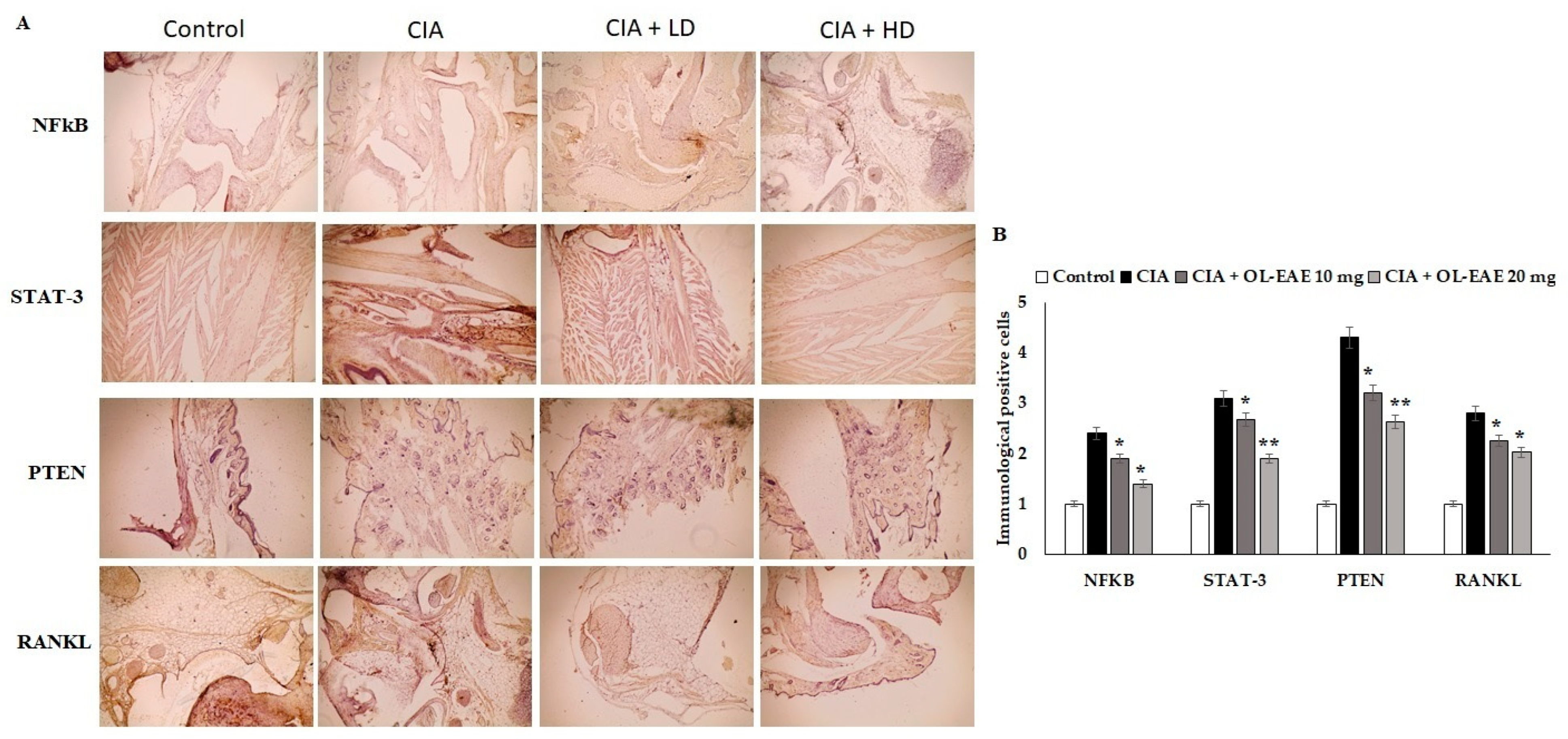 Nutrients 14 05366 g004