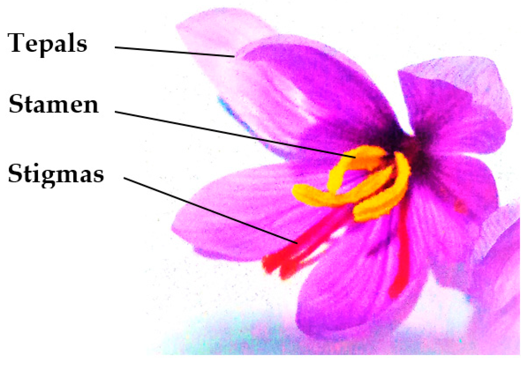 Nutrients 14 05368 g001
