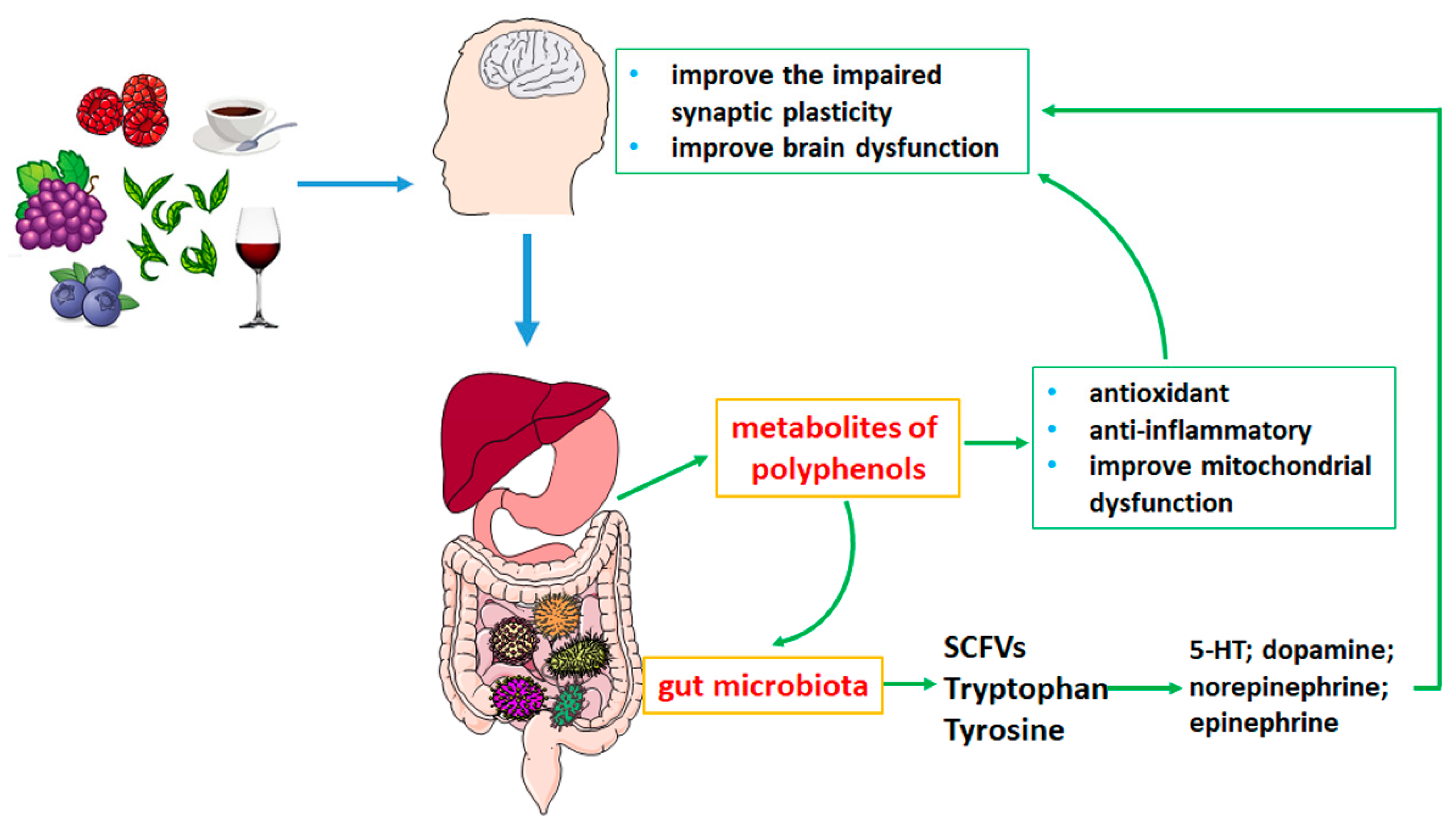 Nutrients 14 05373 g001
