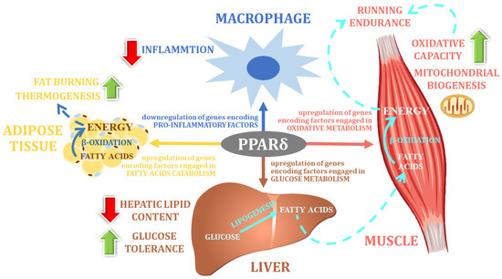 Nutrients 14 05378 g003