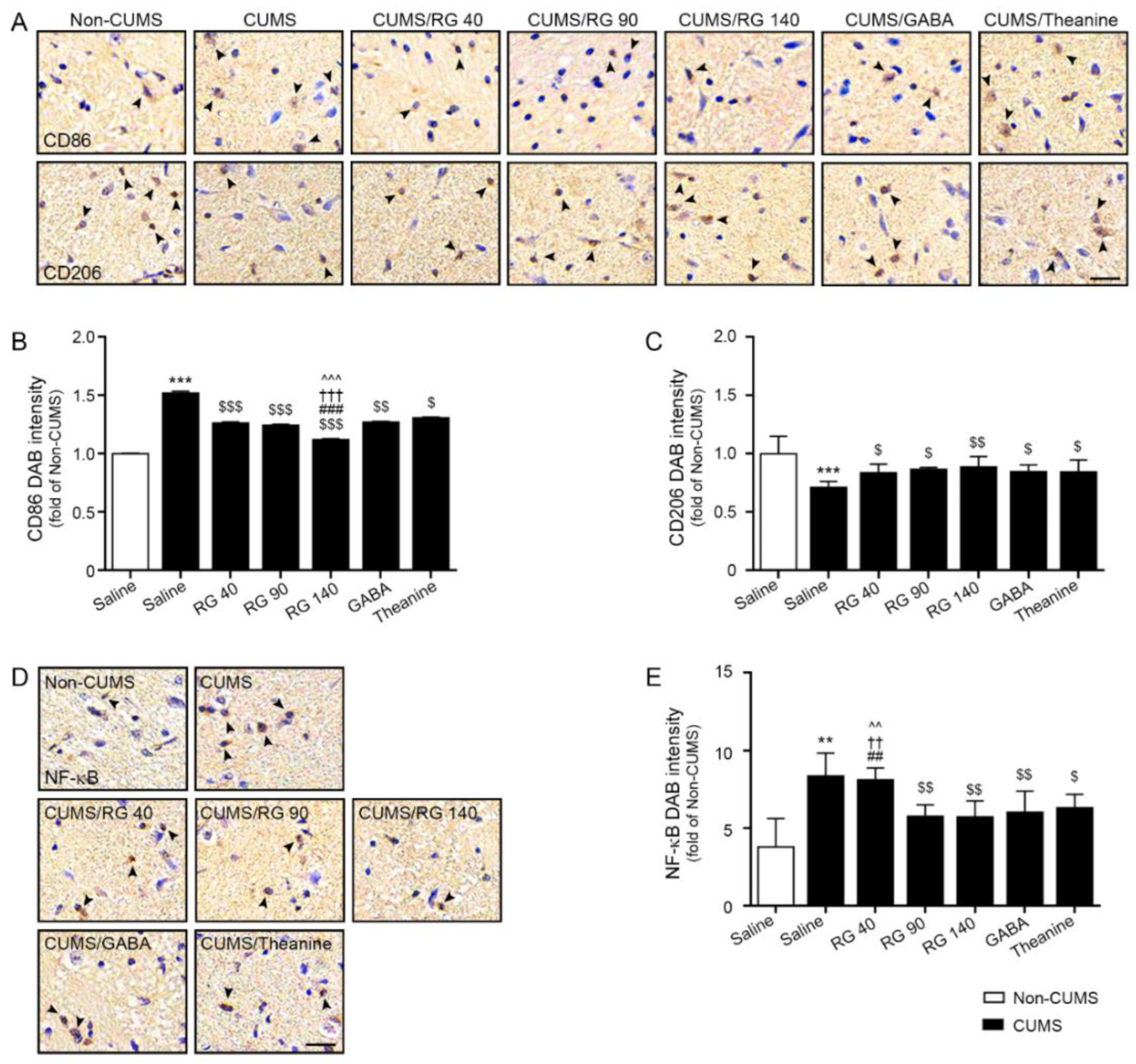 Nutrients 14 05382 g002