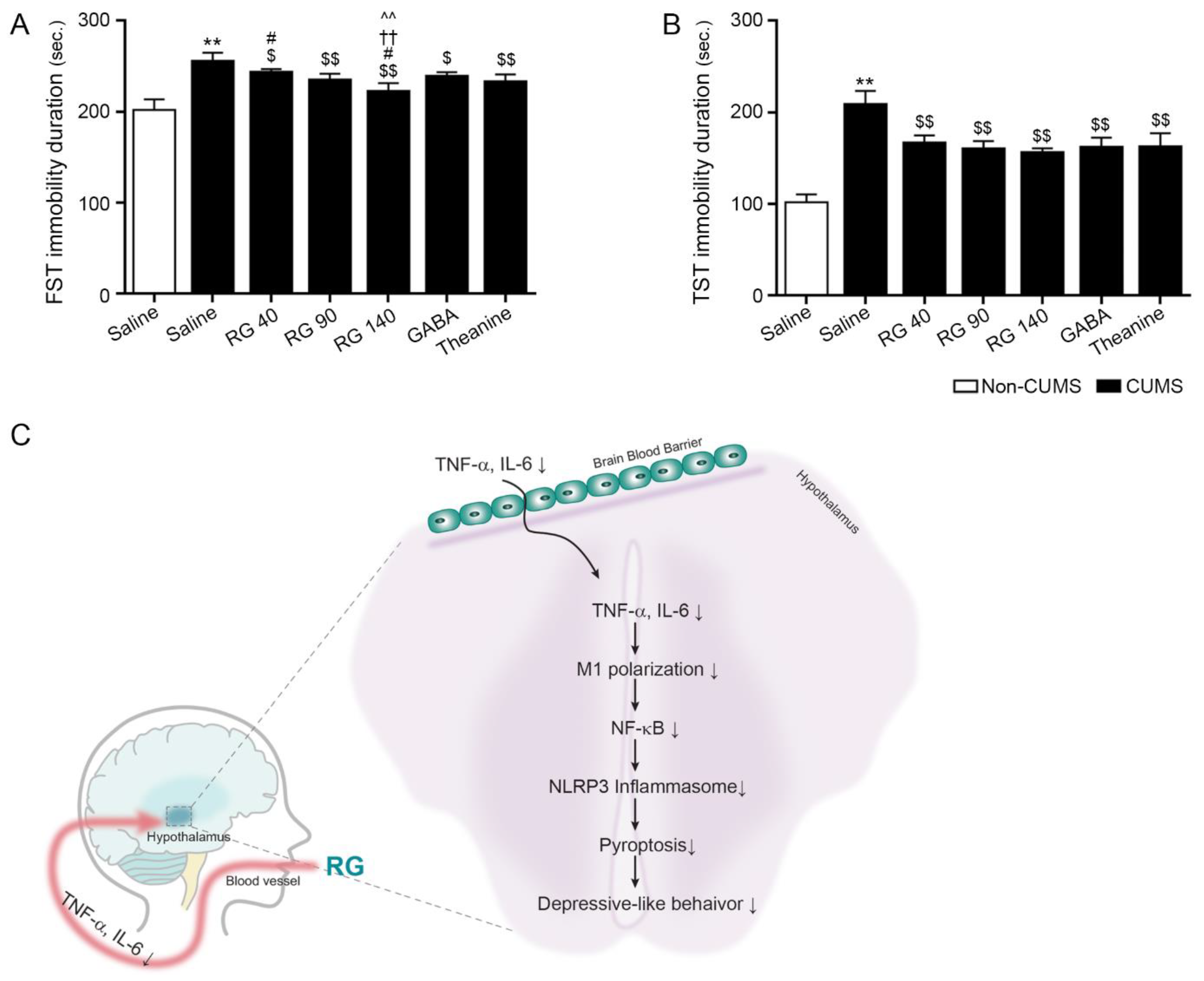 Nutrients 14 05382 g004