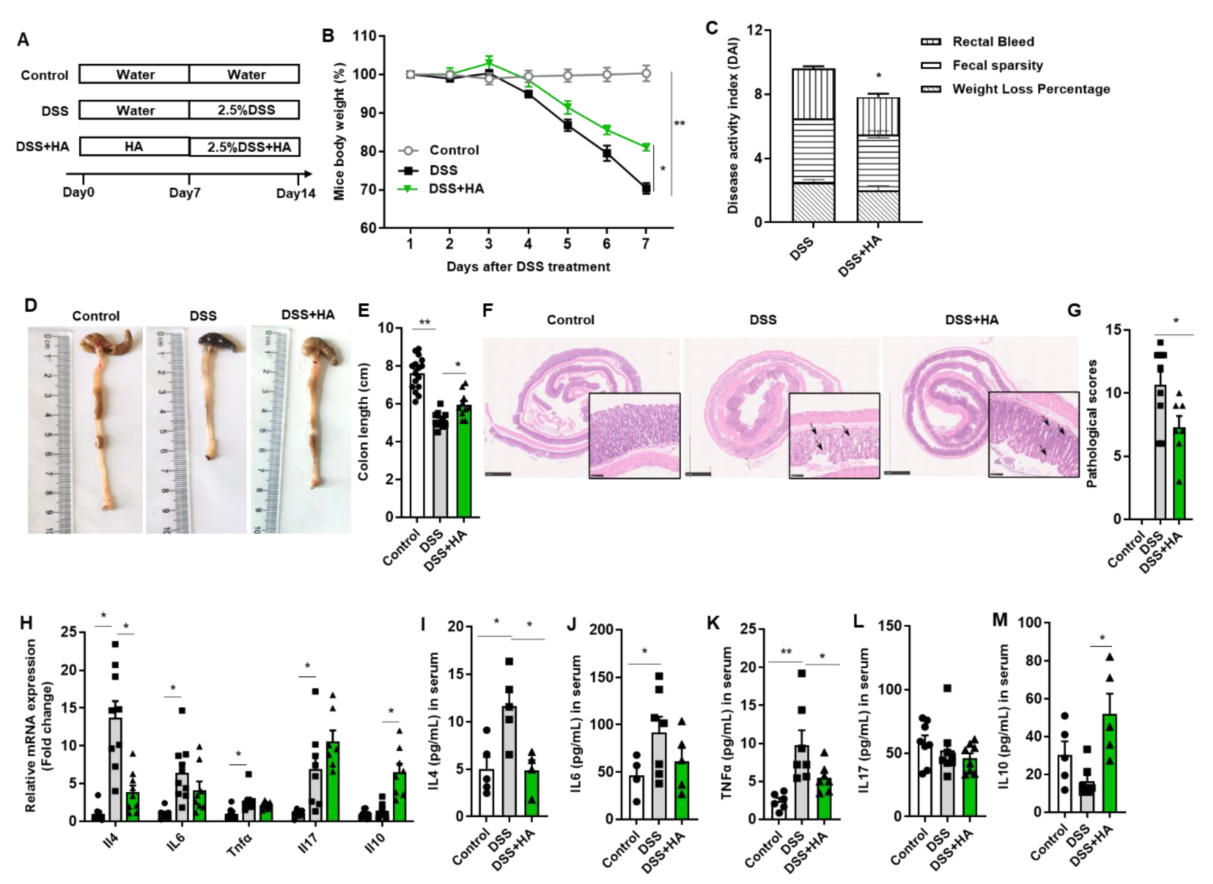 Nutrients 14 05383 g001
