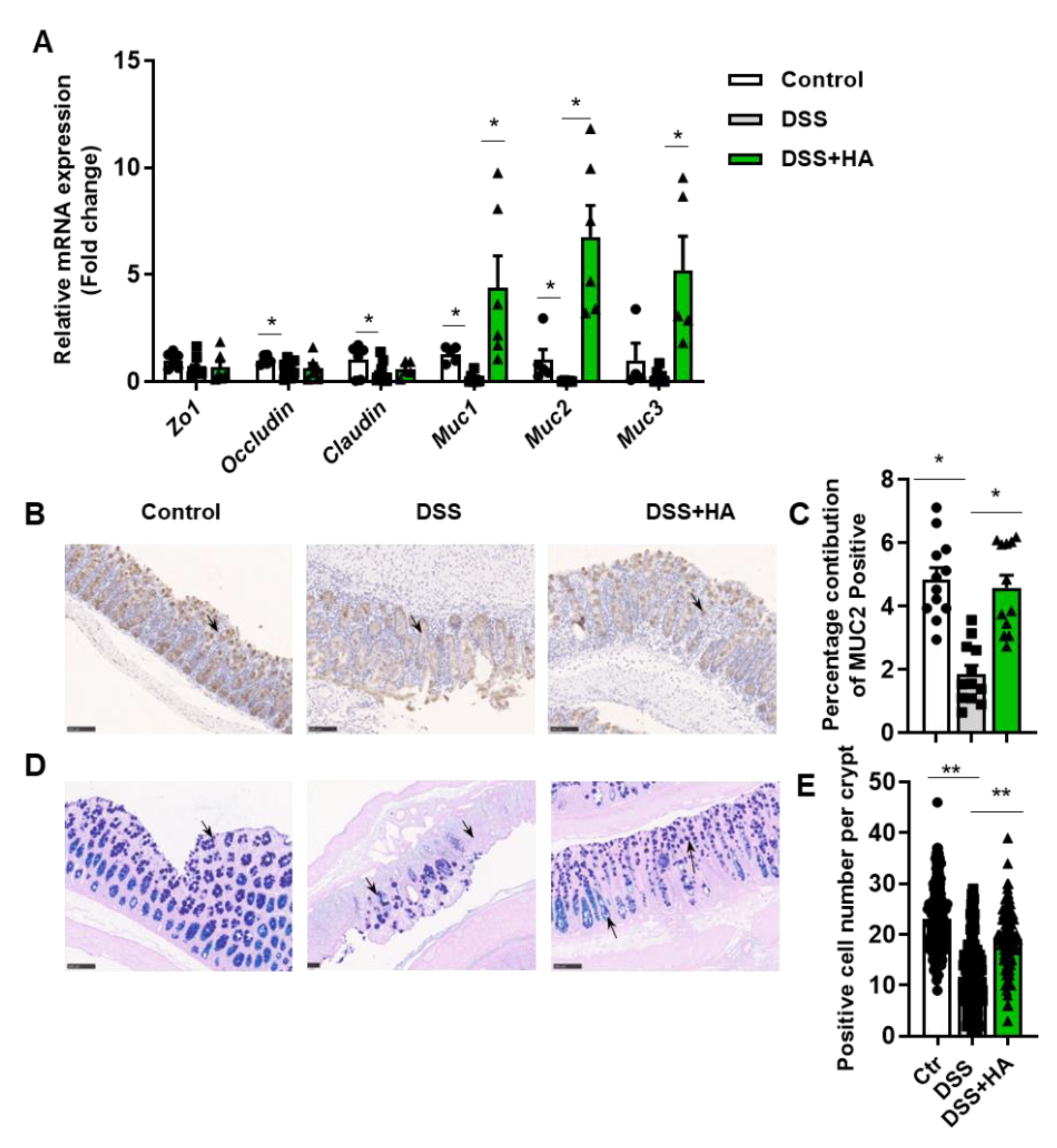 Nutrients 14 05383 g002