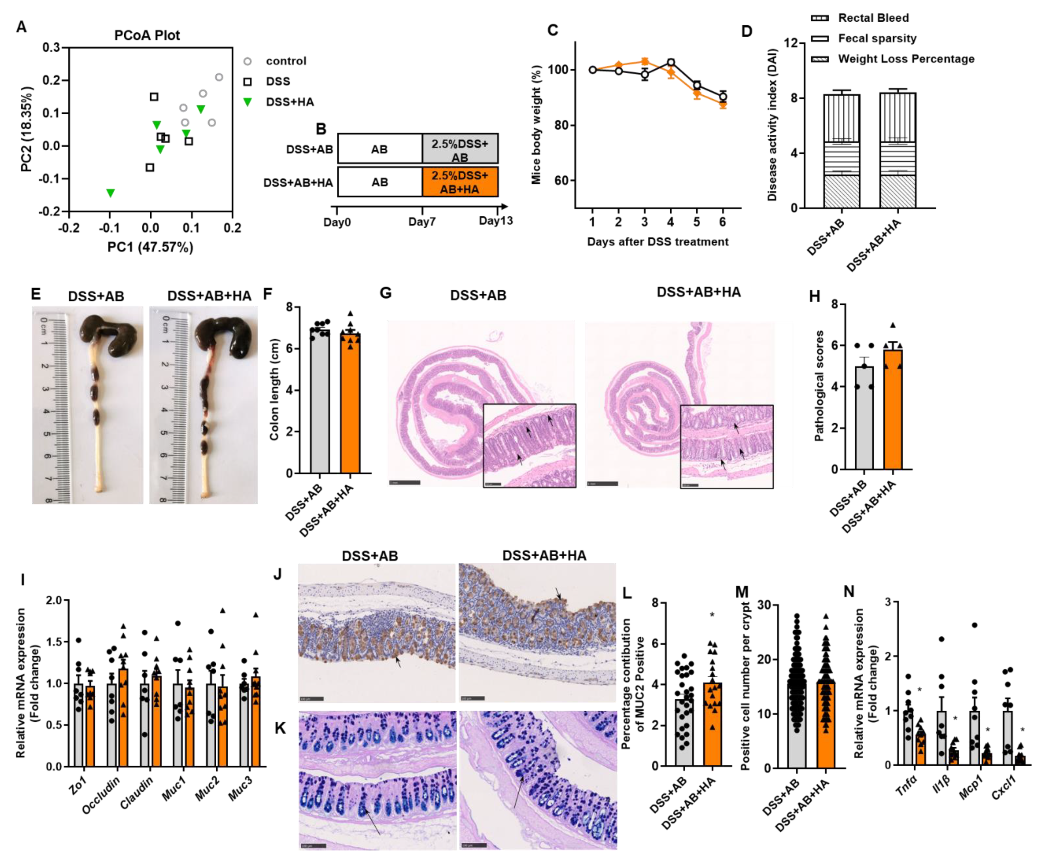 Nutrients 14 05383 g003