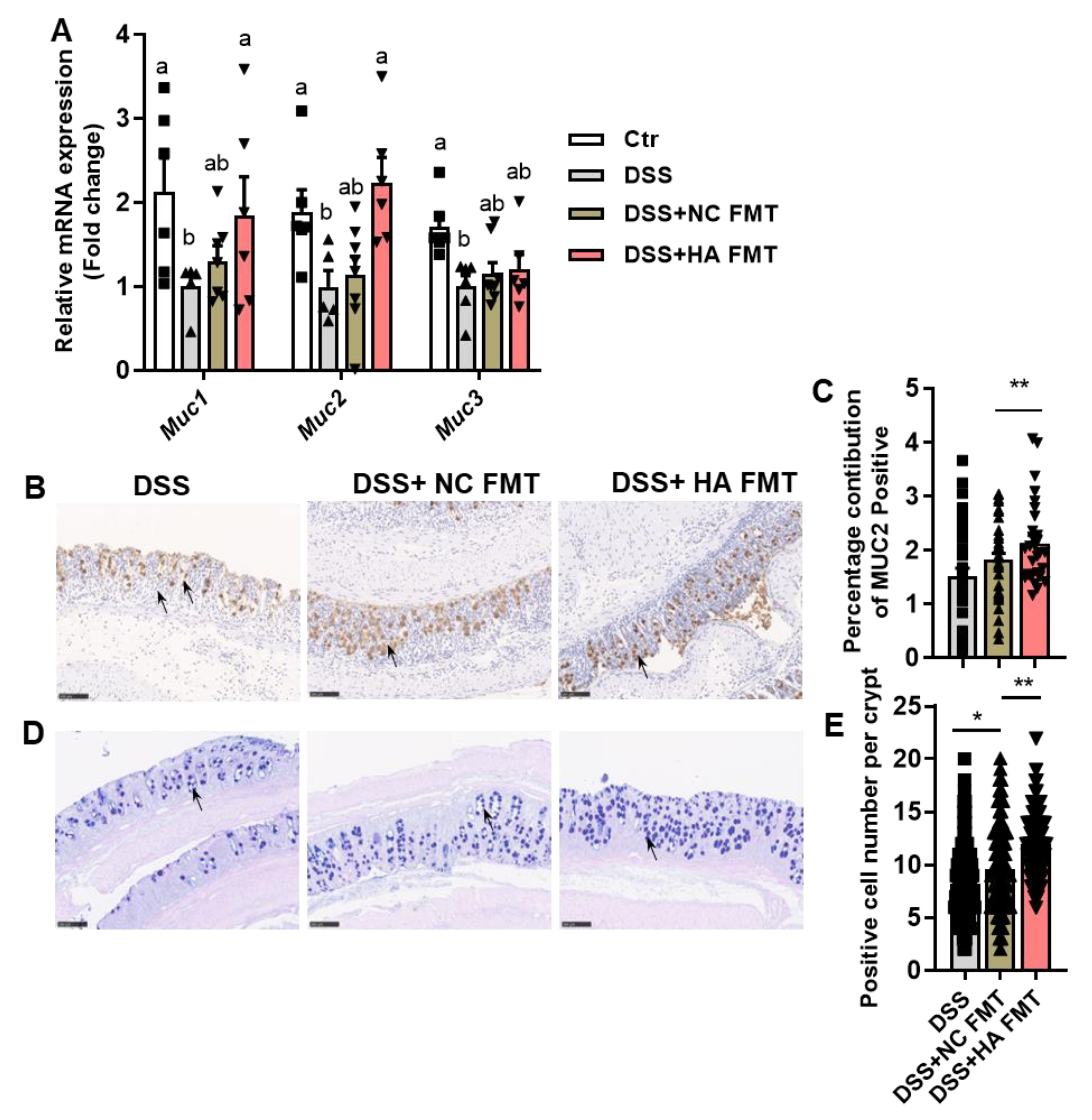 Nutrients 14 05383 g005