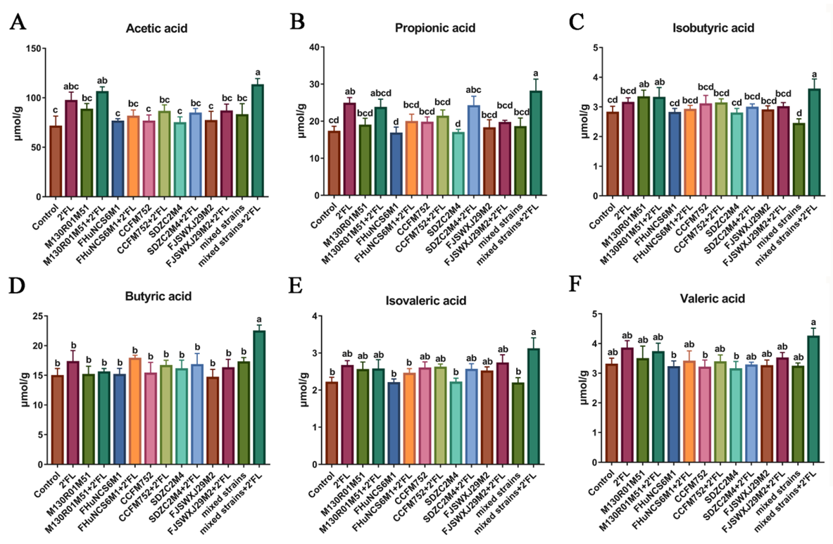 Nutrients 14 05392 g004 Nutrients 14 05392 g004