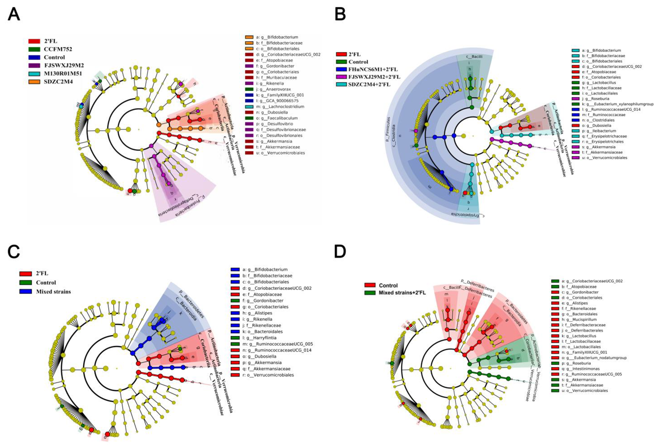 Nutrients 14 05392 g007 Nutrients 14 05392 g007