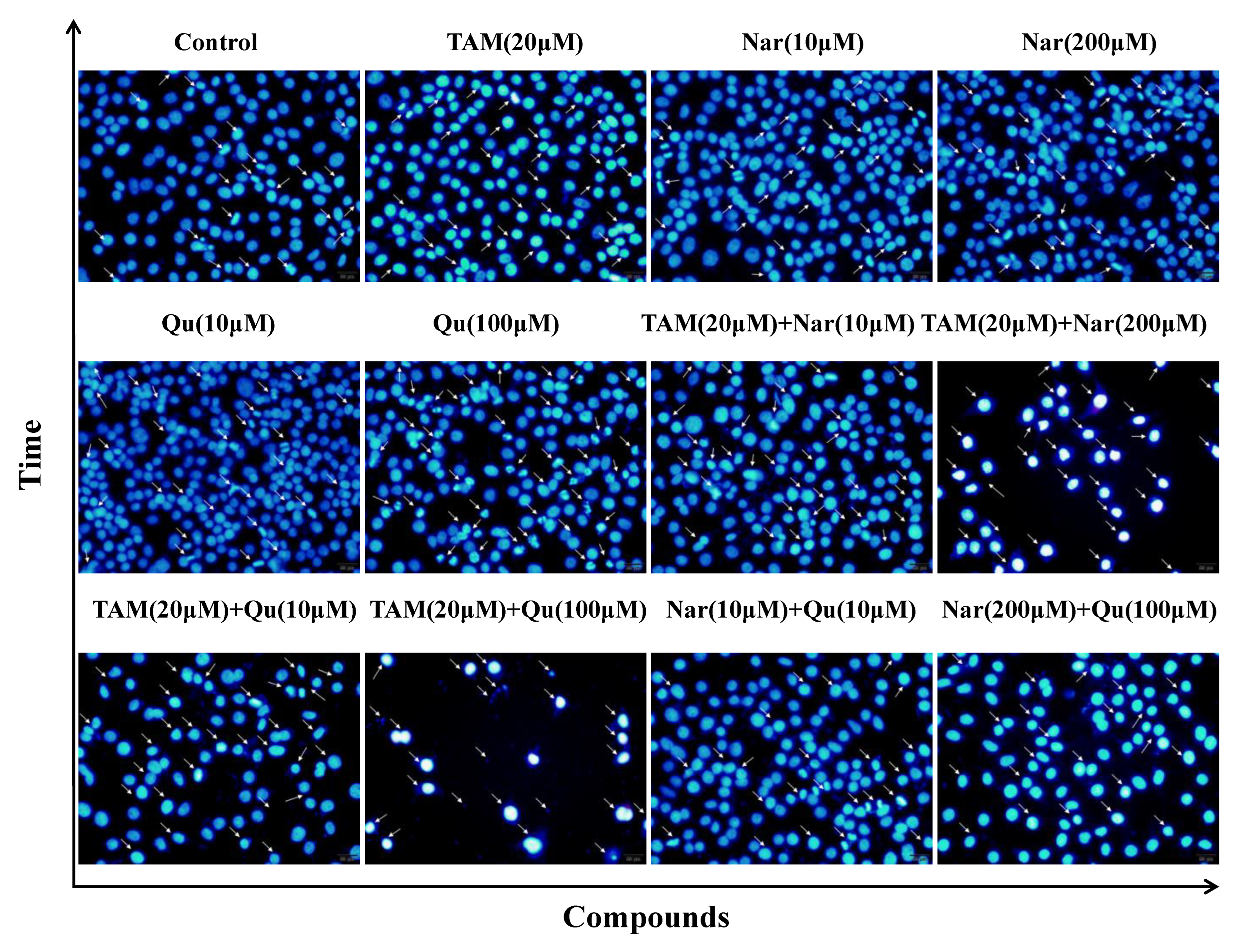 Nutrients 14 05394 g006 Nutrients 14 05394 g006