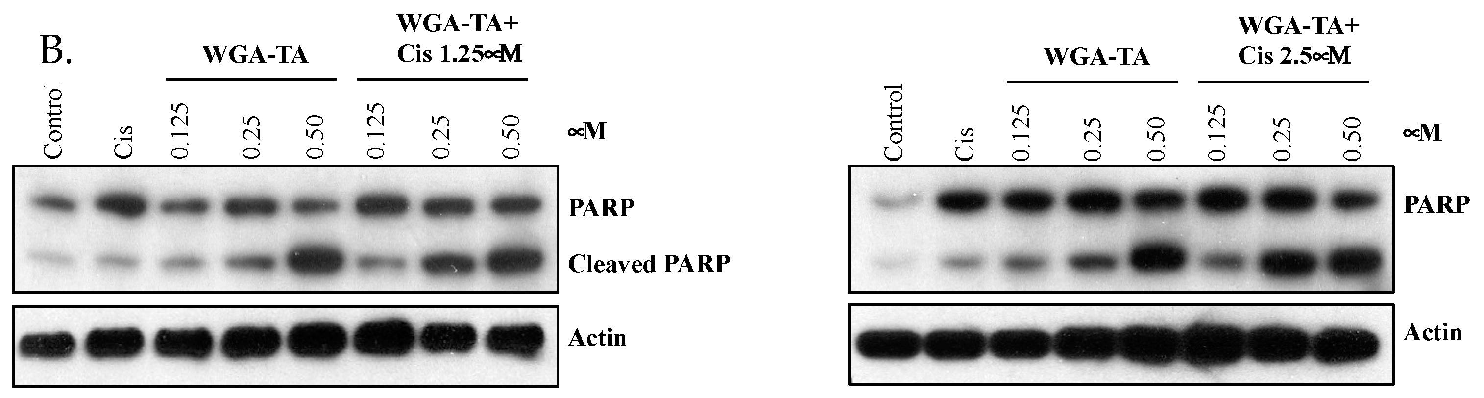 Nutrients 14 05398 g004b