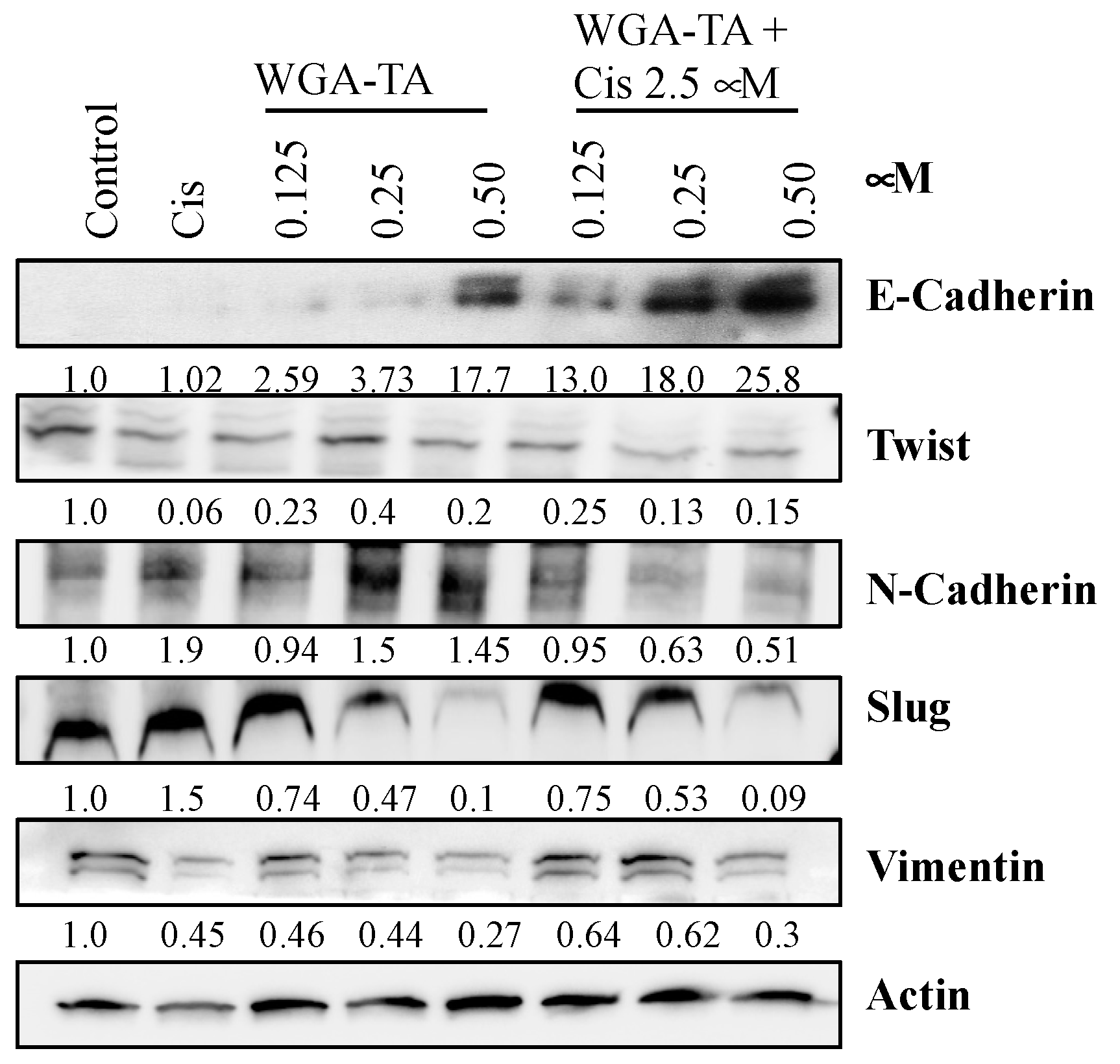 Nutrients 14 05398 g005