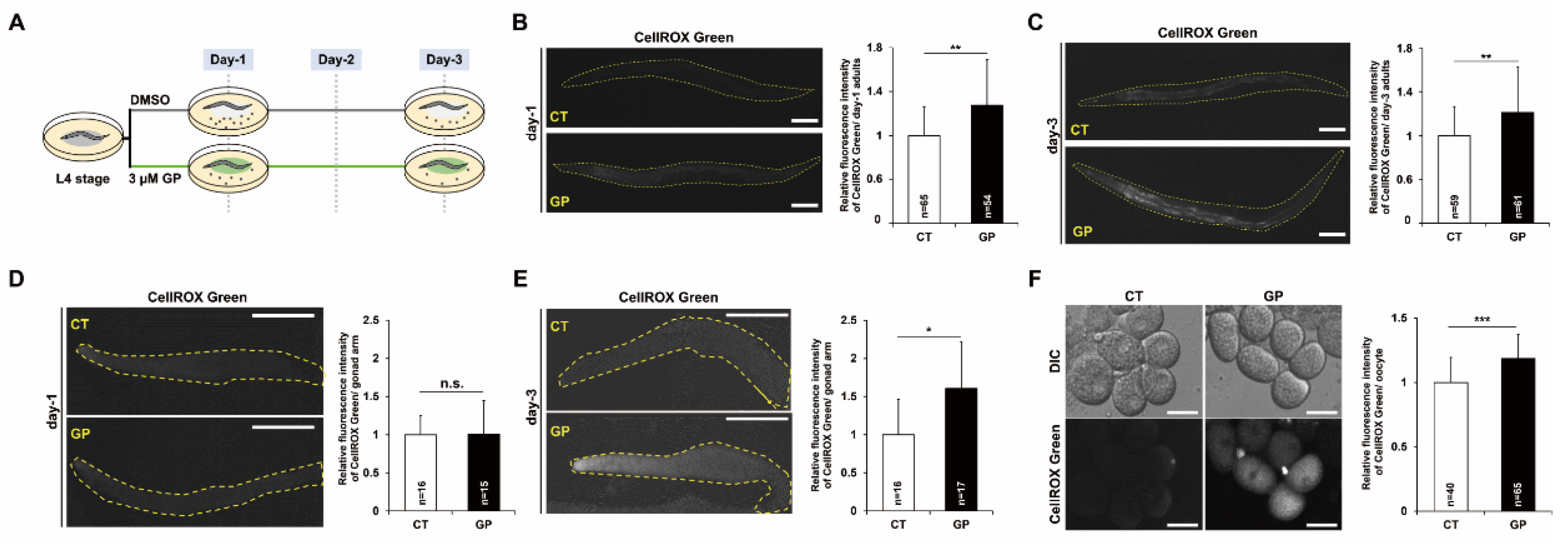 Nutrients 14 05403 g001