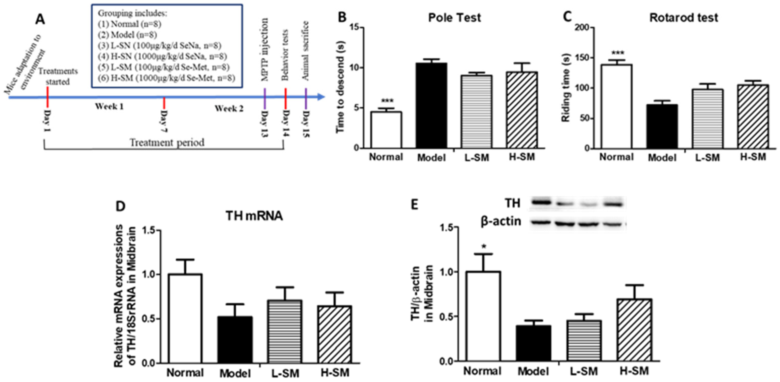 Nutrients 15 00011 g001