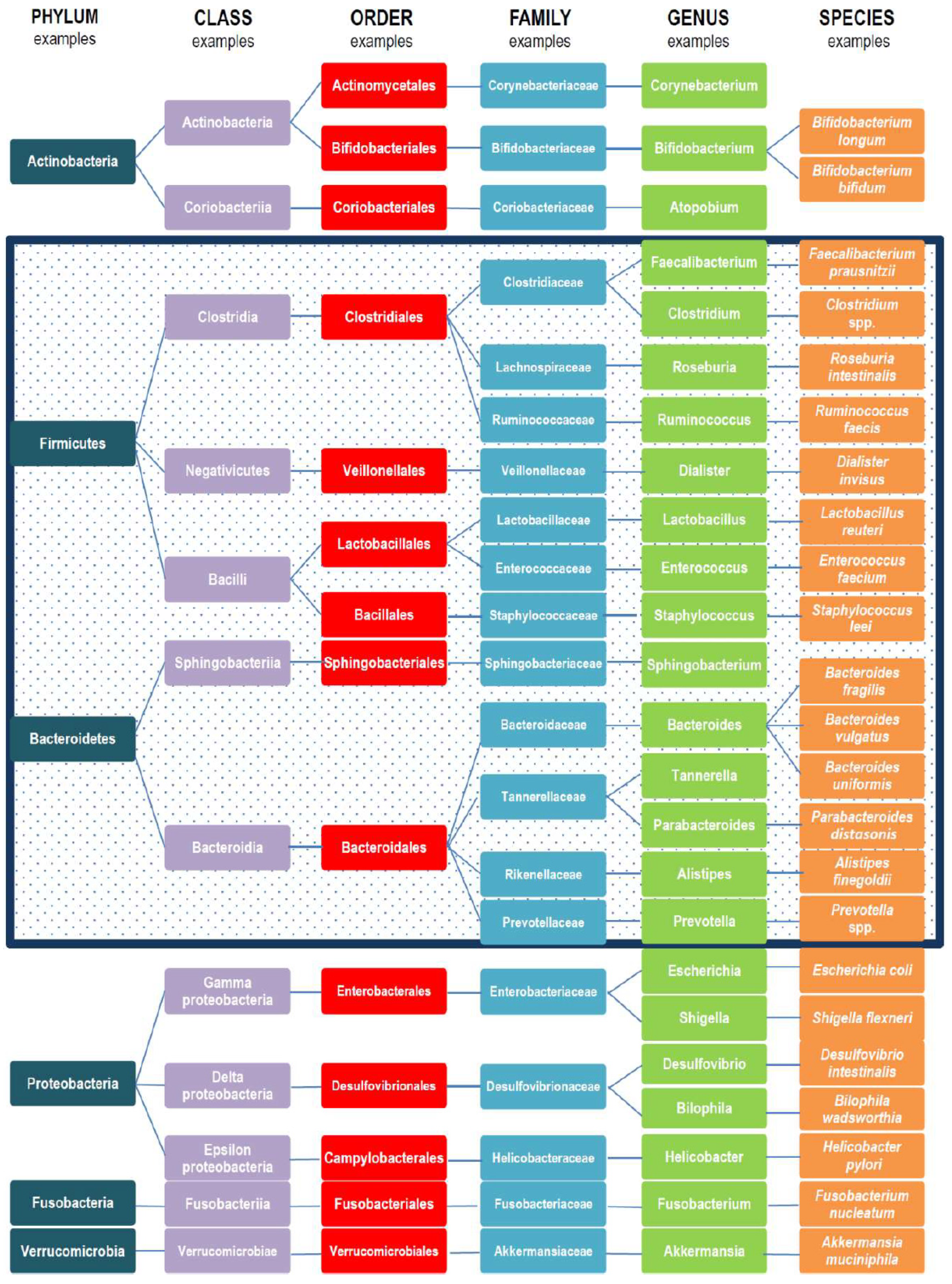 Nutrients 15 00020 g001 Nutrients 15 00020 g001