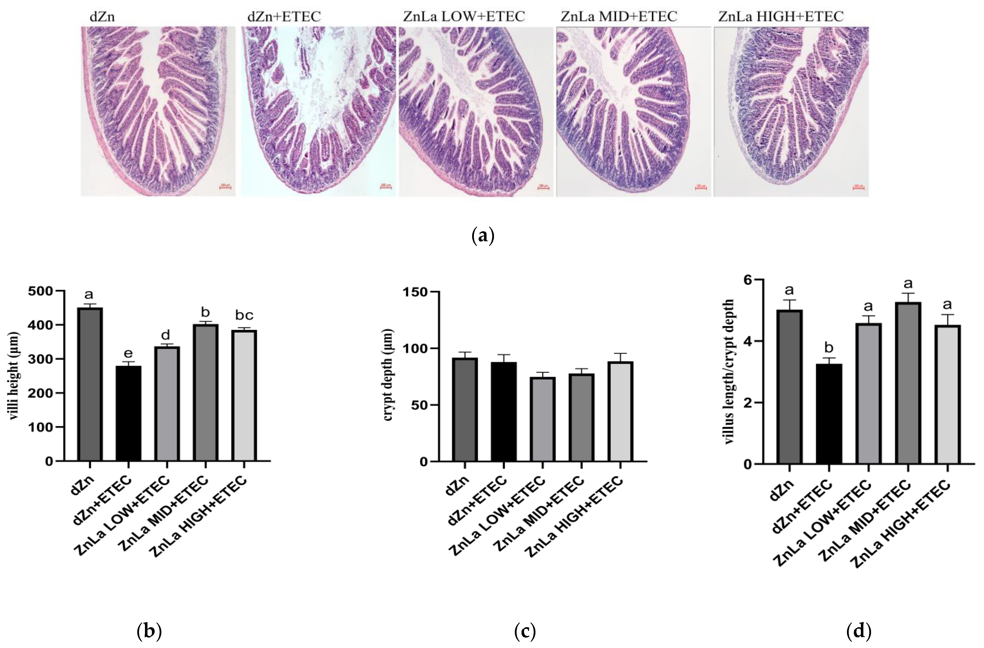 Nutrients 15 00054 g002