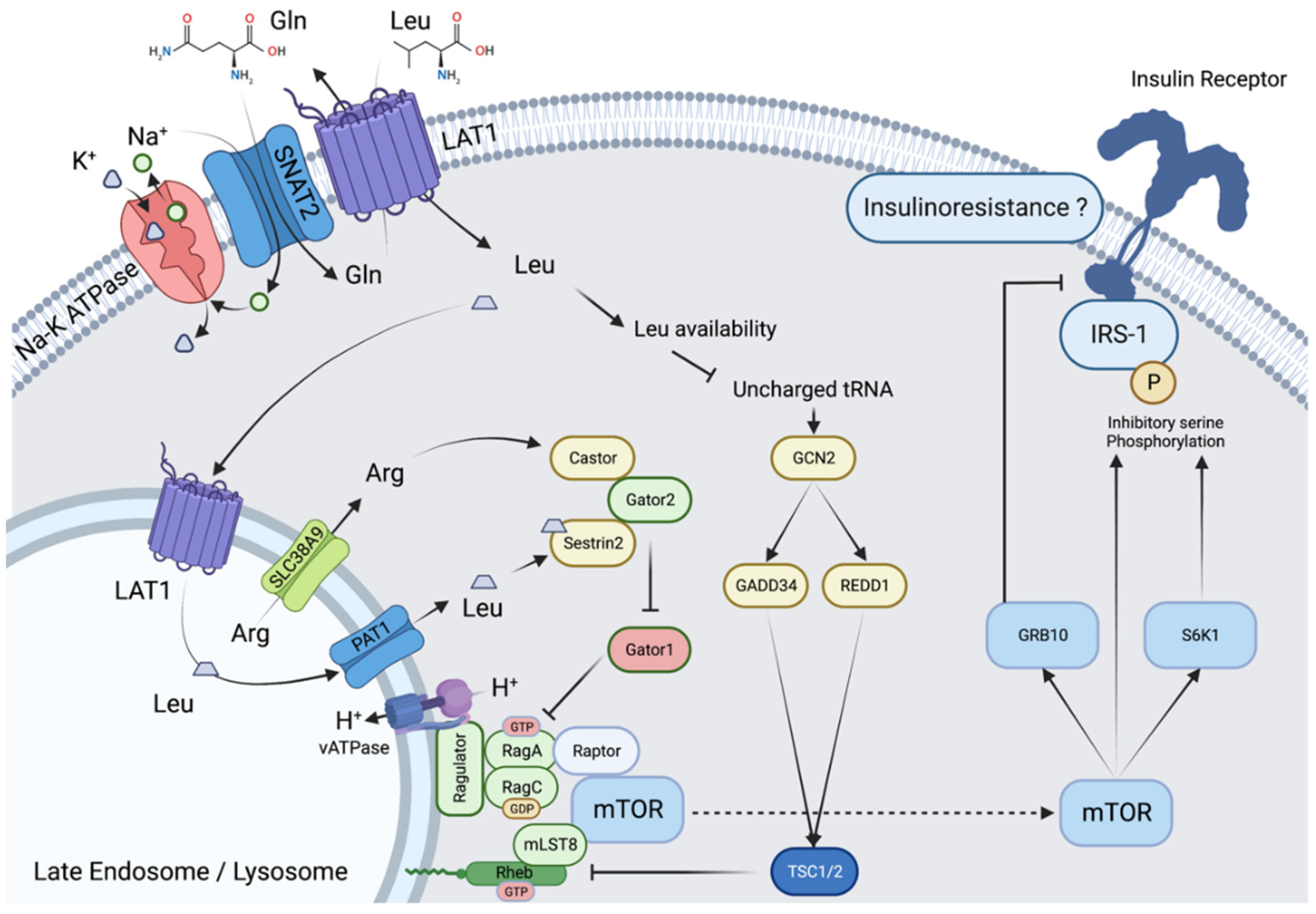 Nutrients 15 00068 g001
