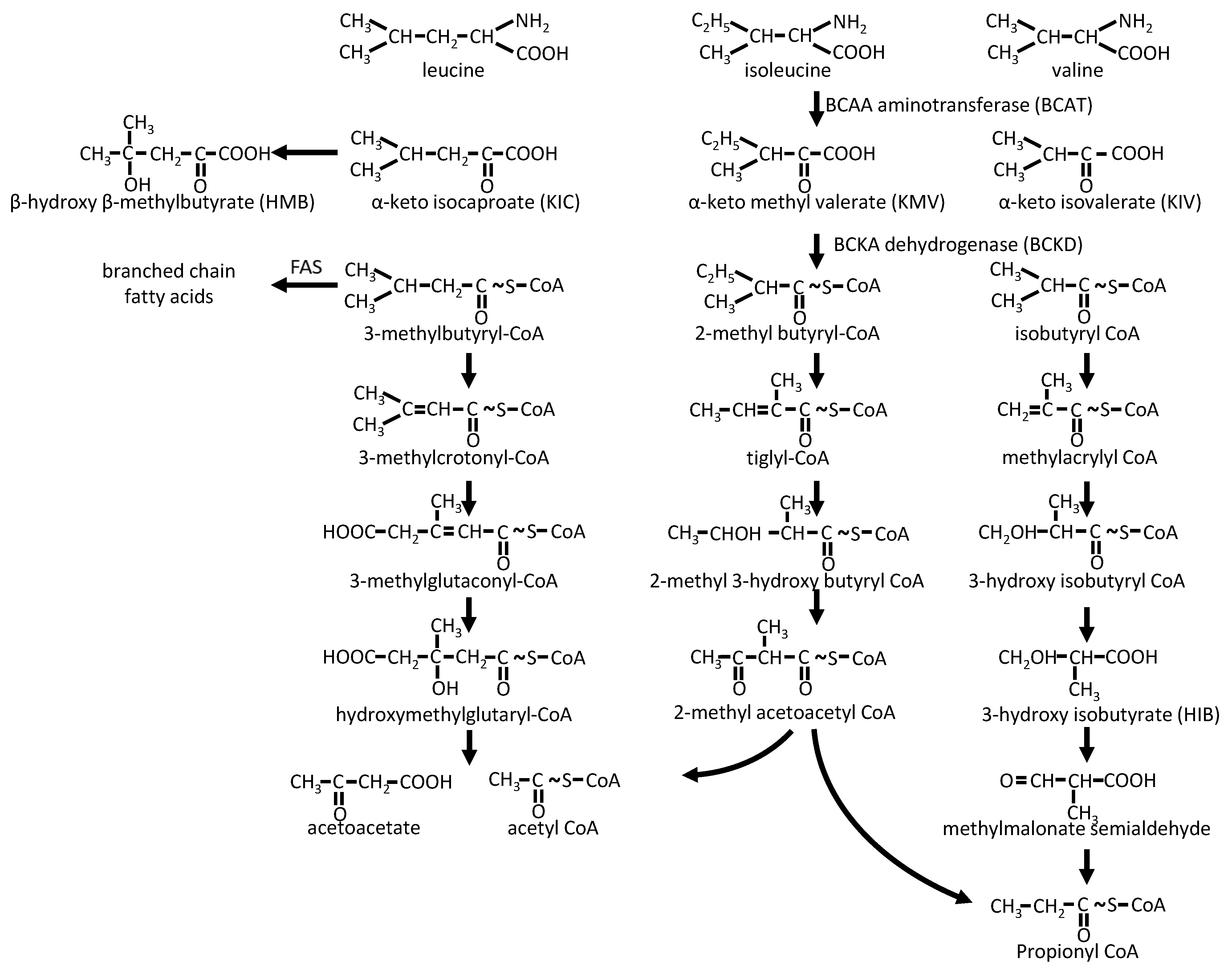 Nutrients 15 00068 g002