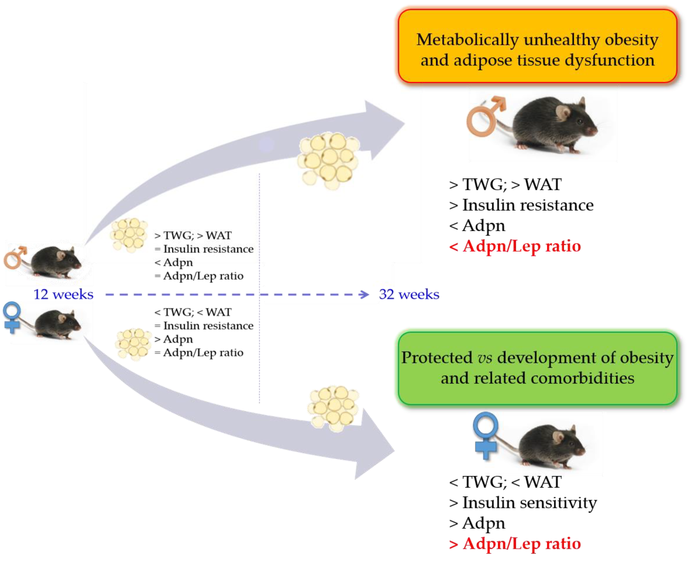 Nutrients 15 00073 g006 Nutrients 15 00073 g006